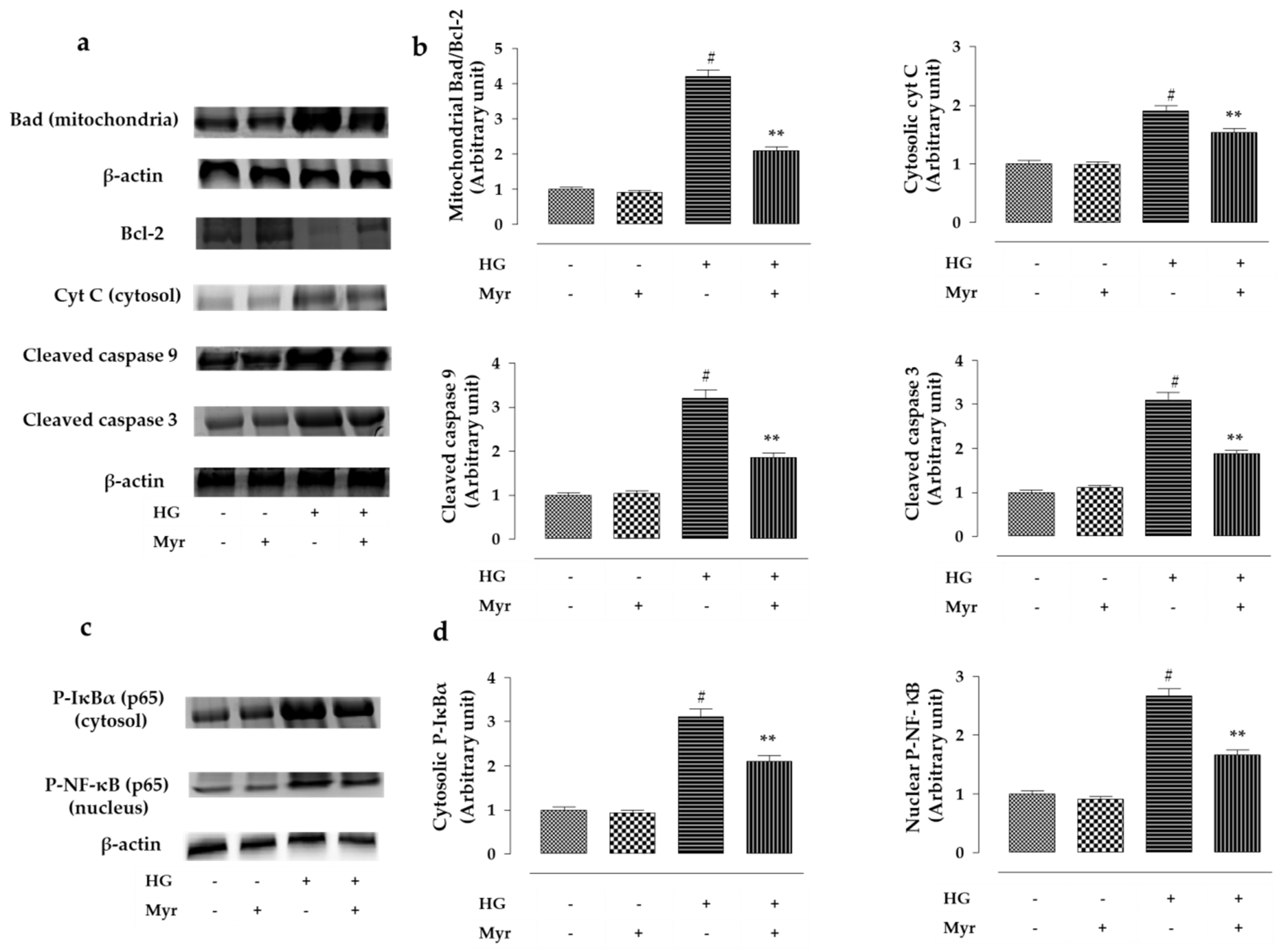 Molecules 26 00258 g005a