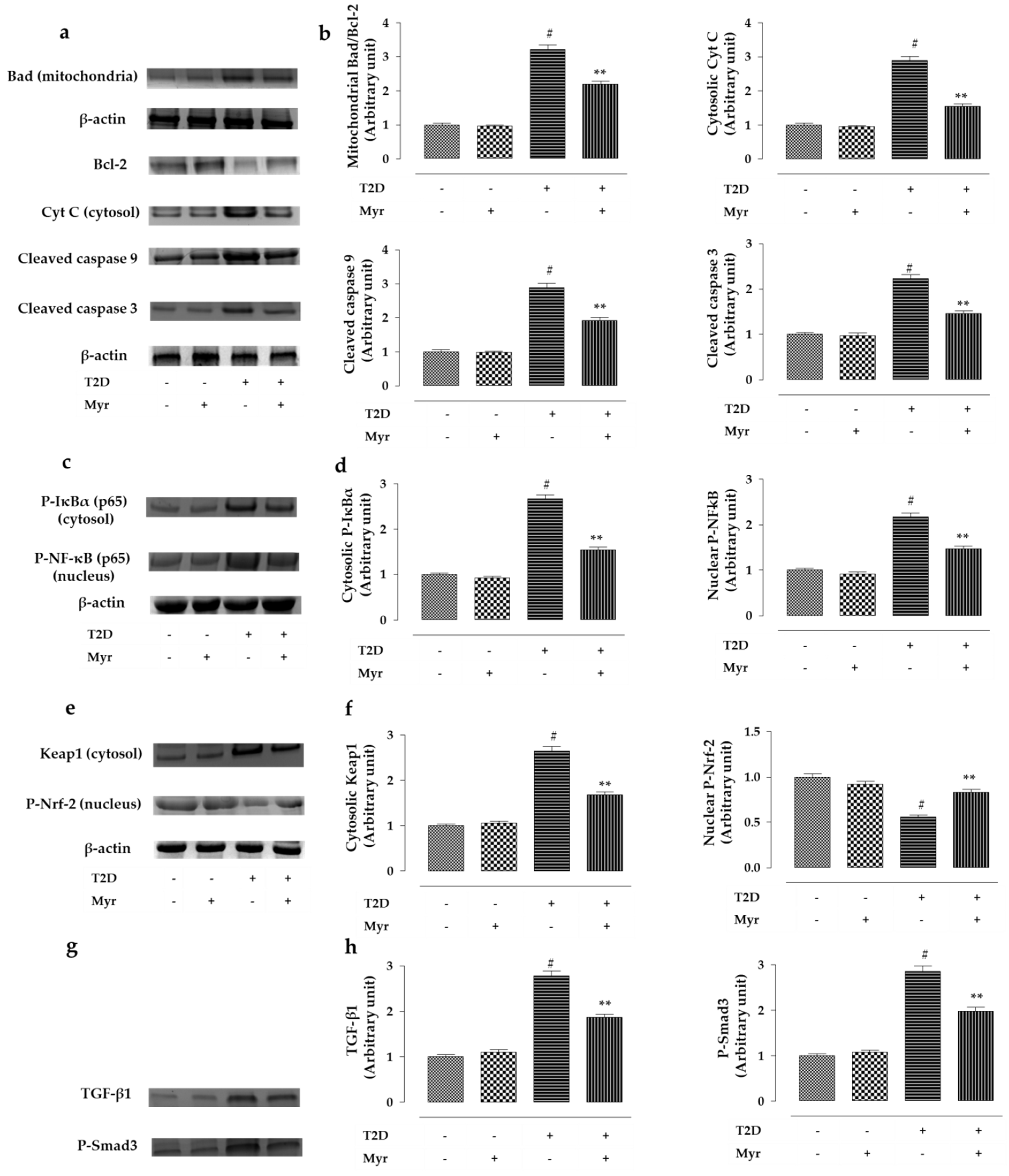 Molecules 26 00258 g012a