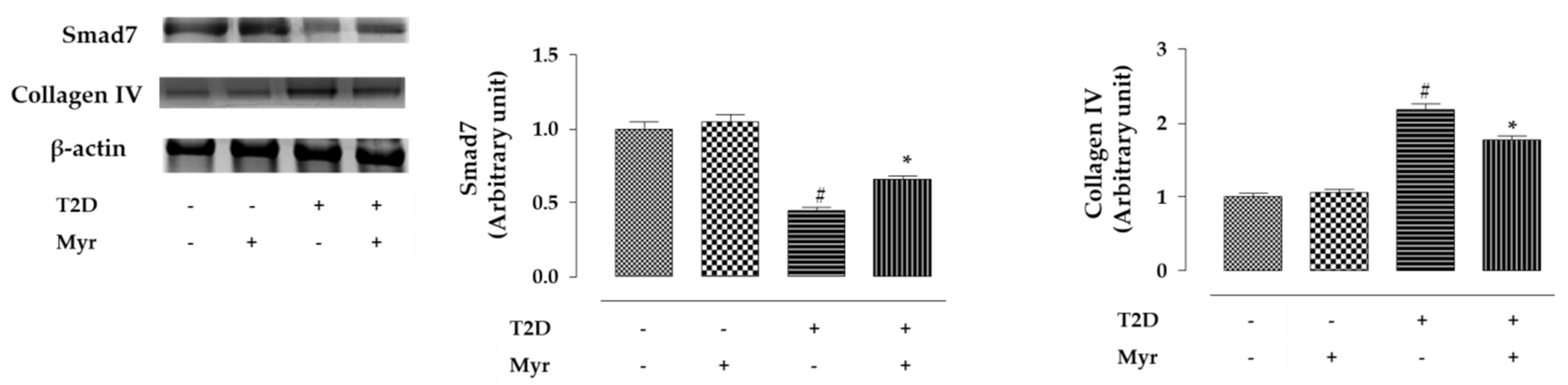 Molecules 26 00258 g012b