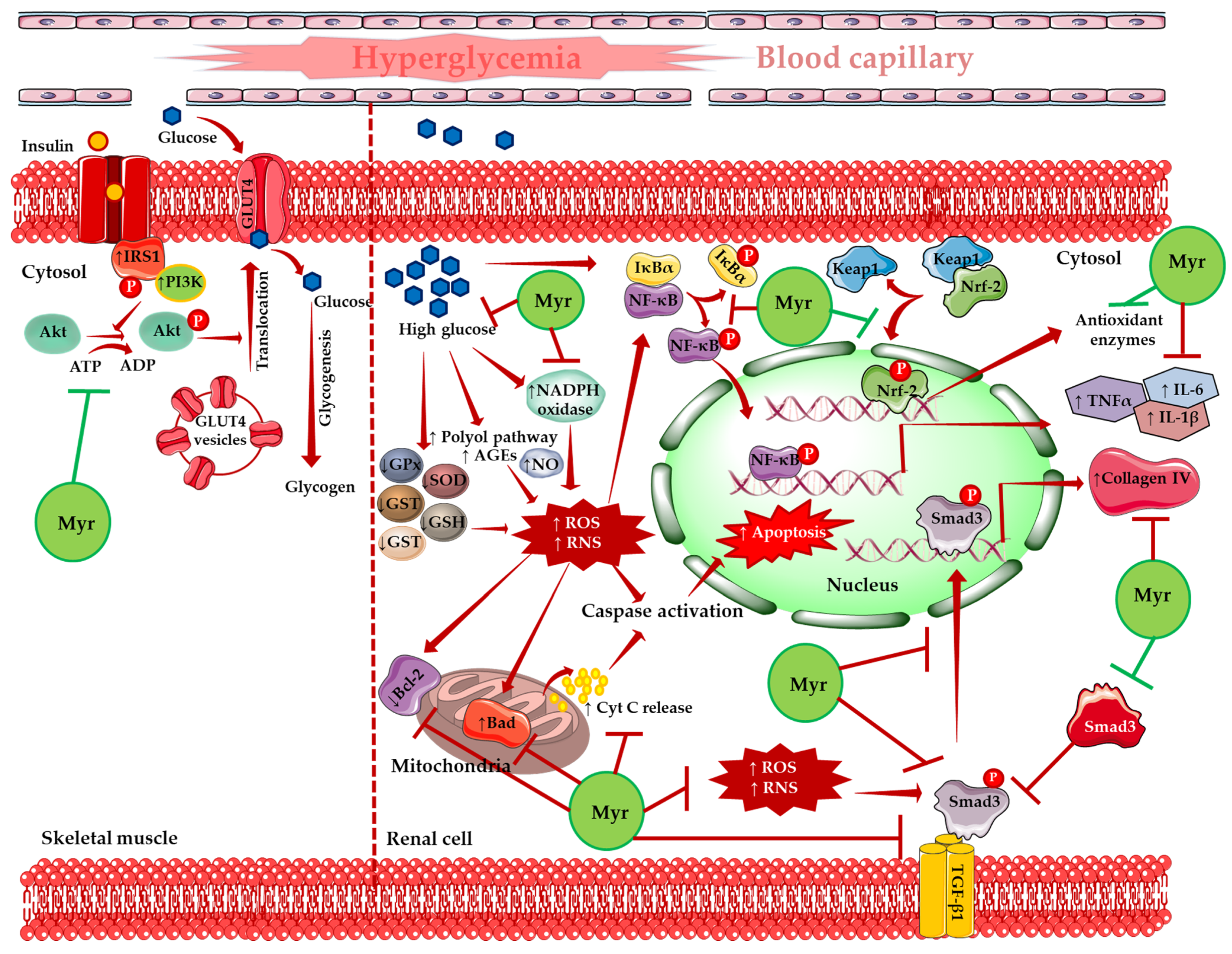 Molecules 26 00258 g015