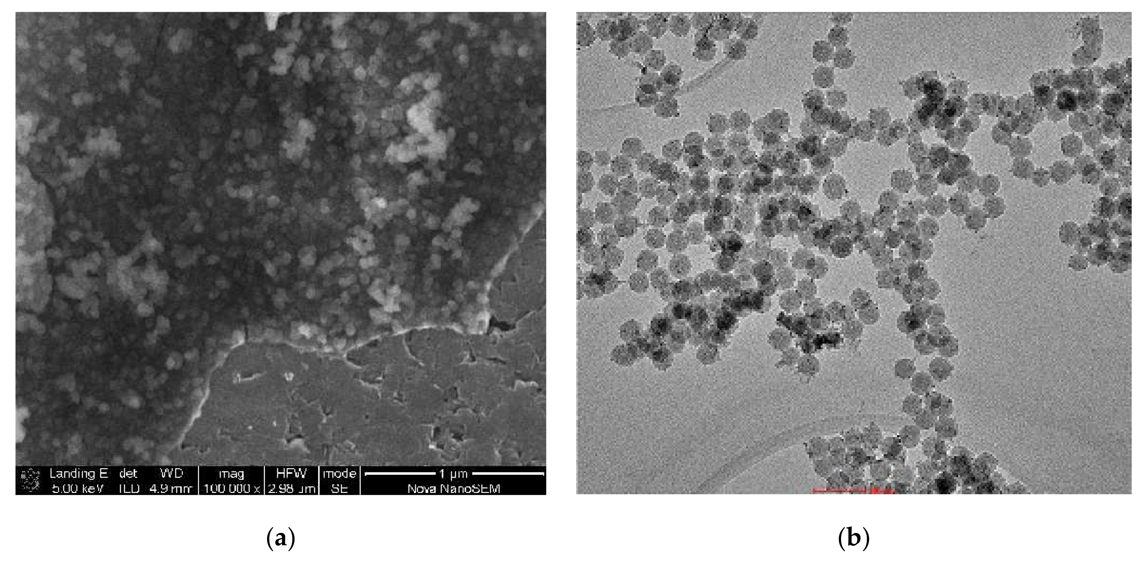 Molecules 26 00260 g001 Molecules 26 00260 g001