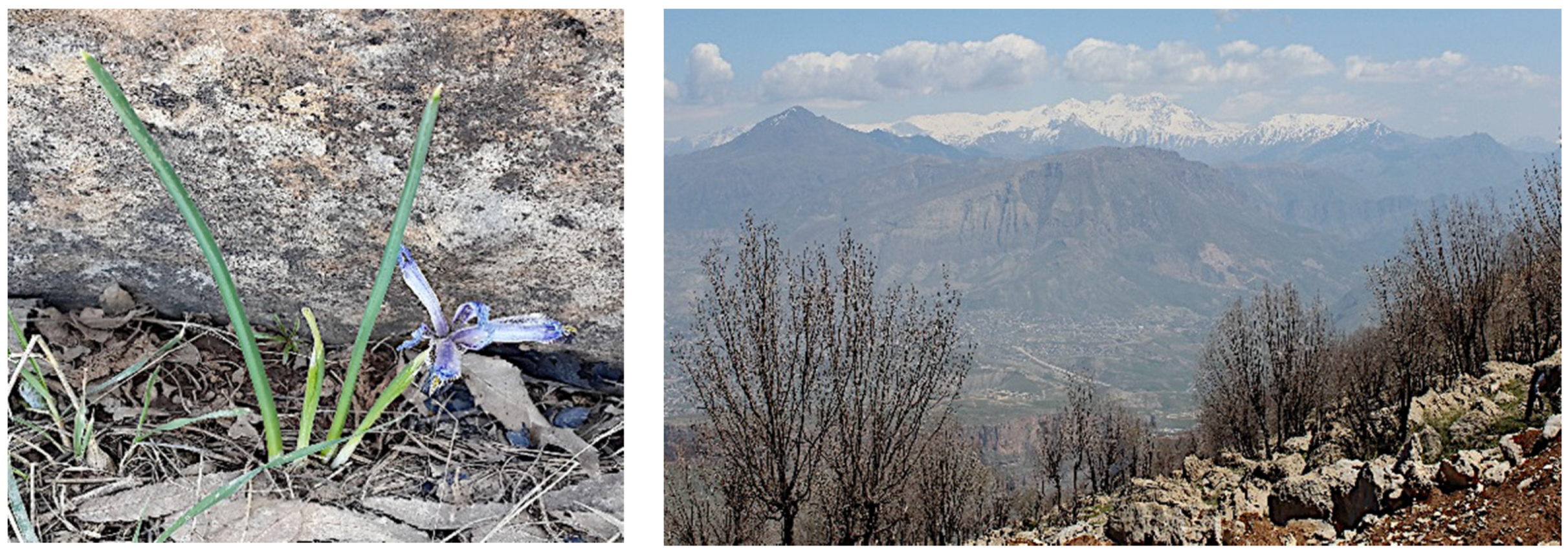 Molecules 26 00264 g009