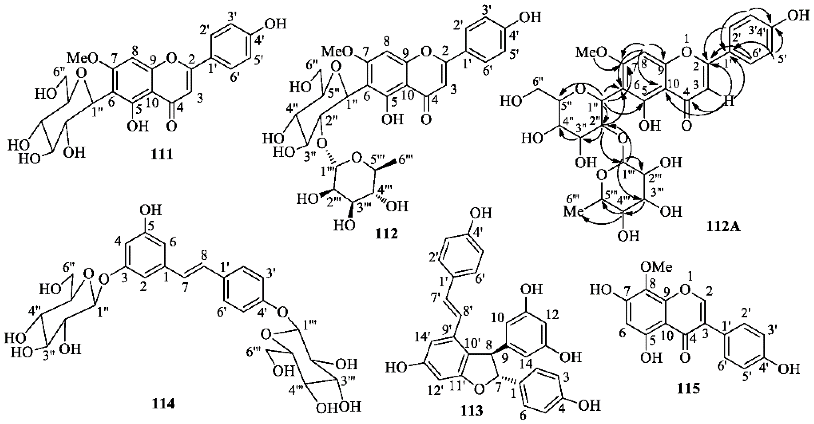 Molecules 26 00264 g010