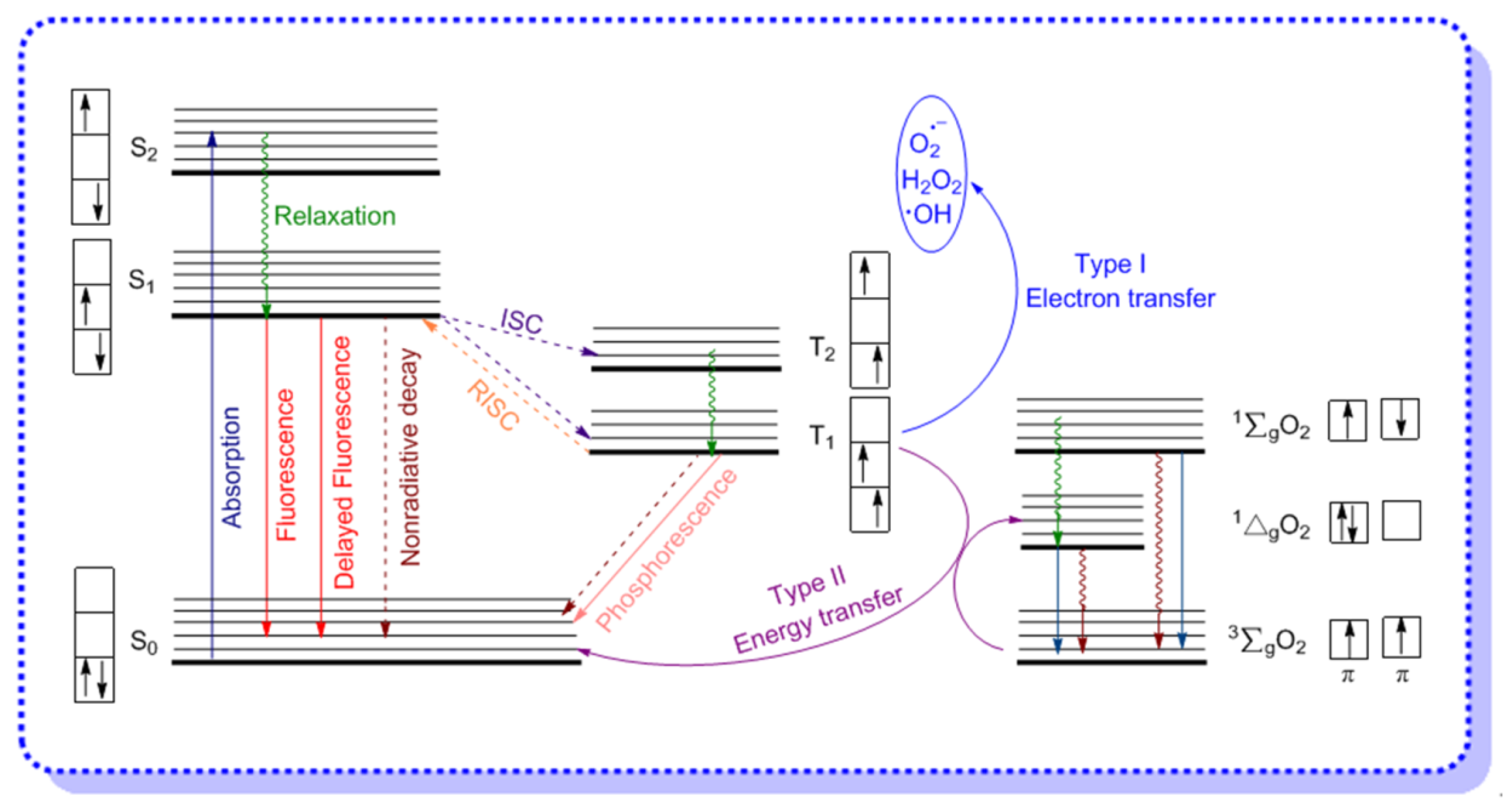 Molecules 26 00268 g002