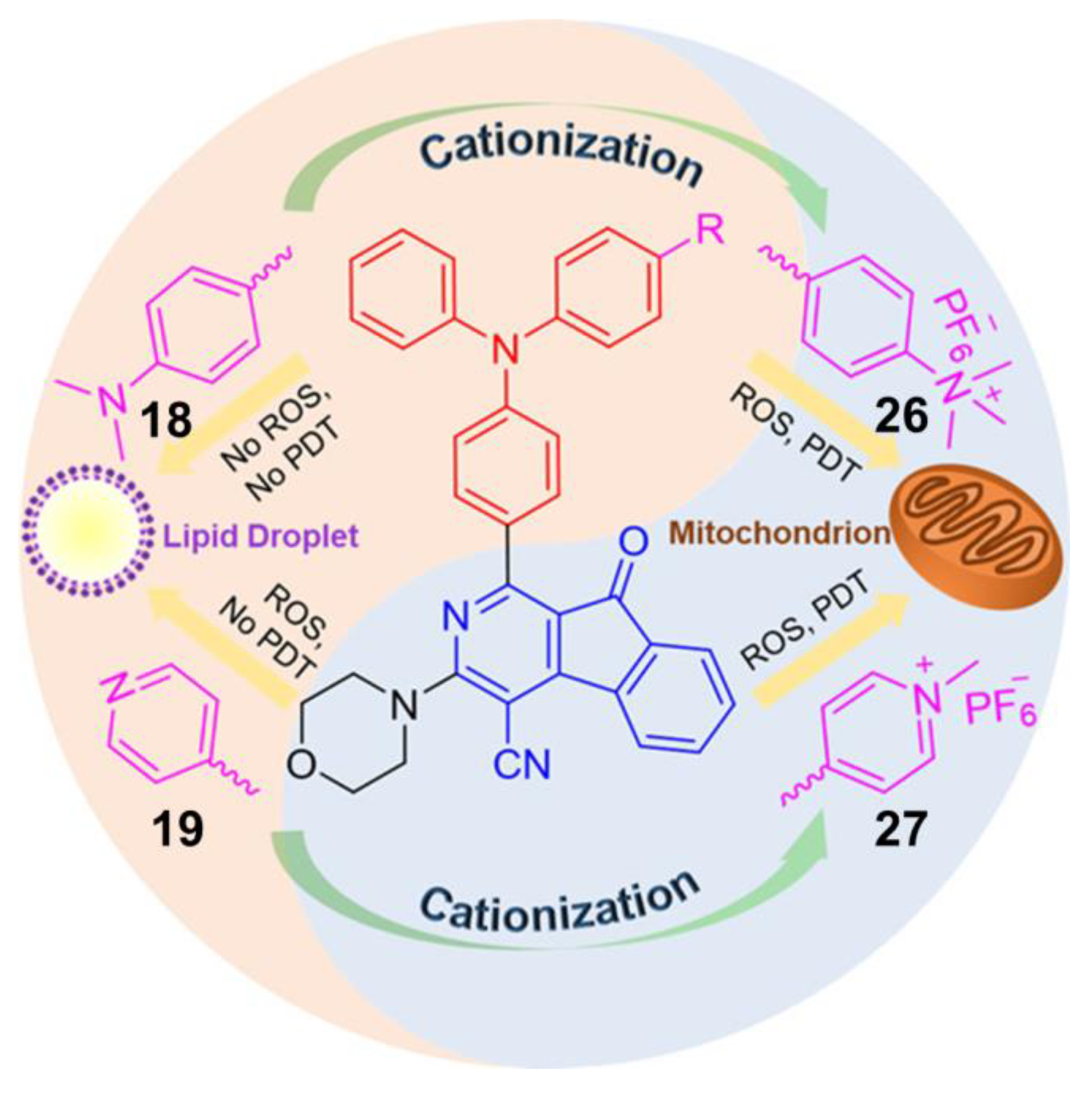Molecules 26 00268 g009