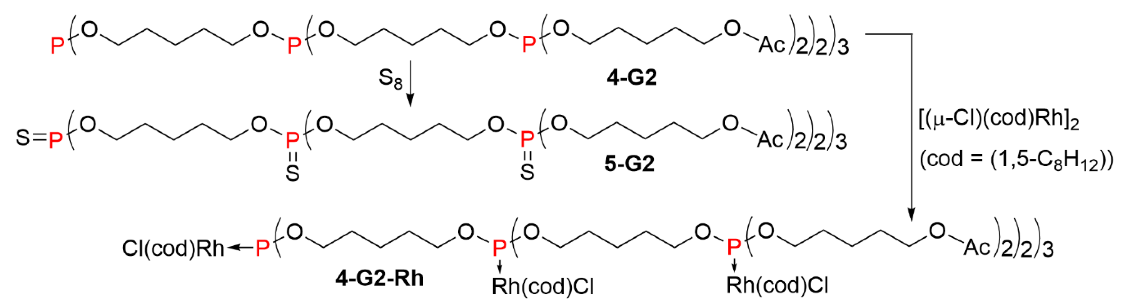 Molecules 26 00269 sch005