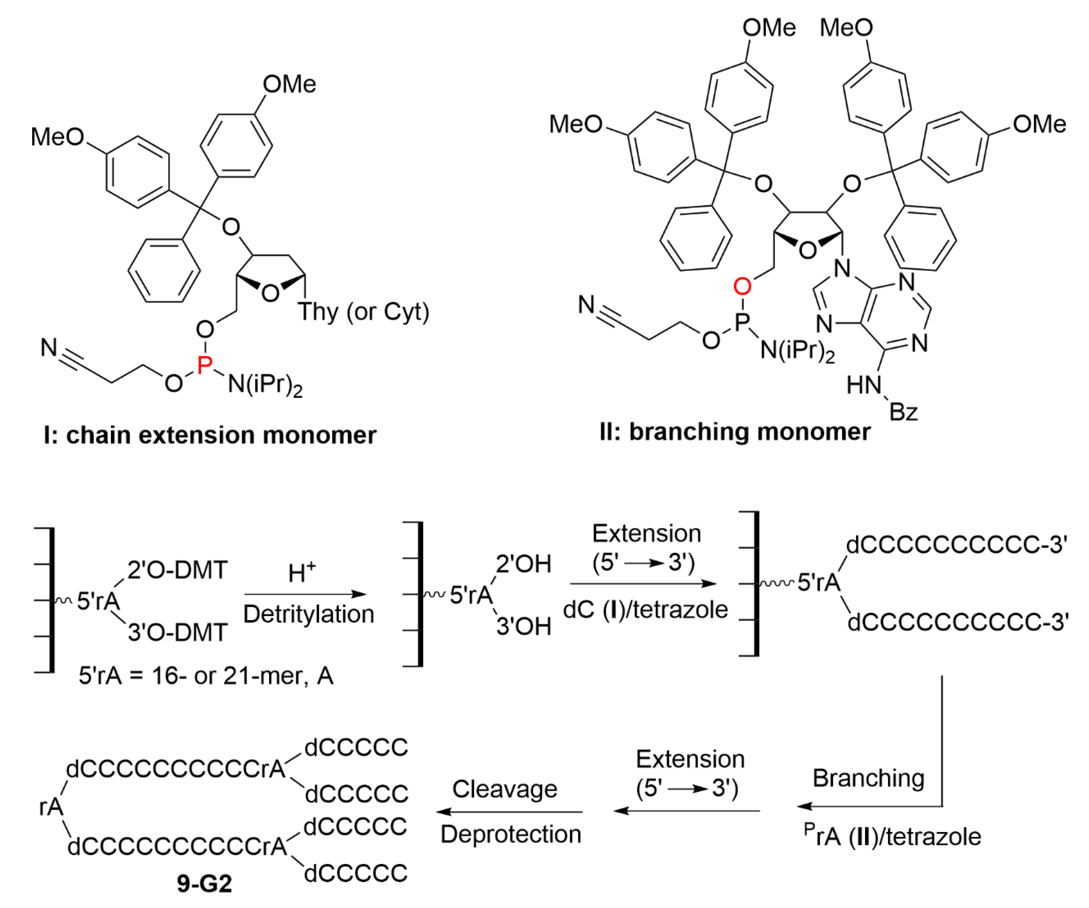 Molecules 26 00269 sch009