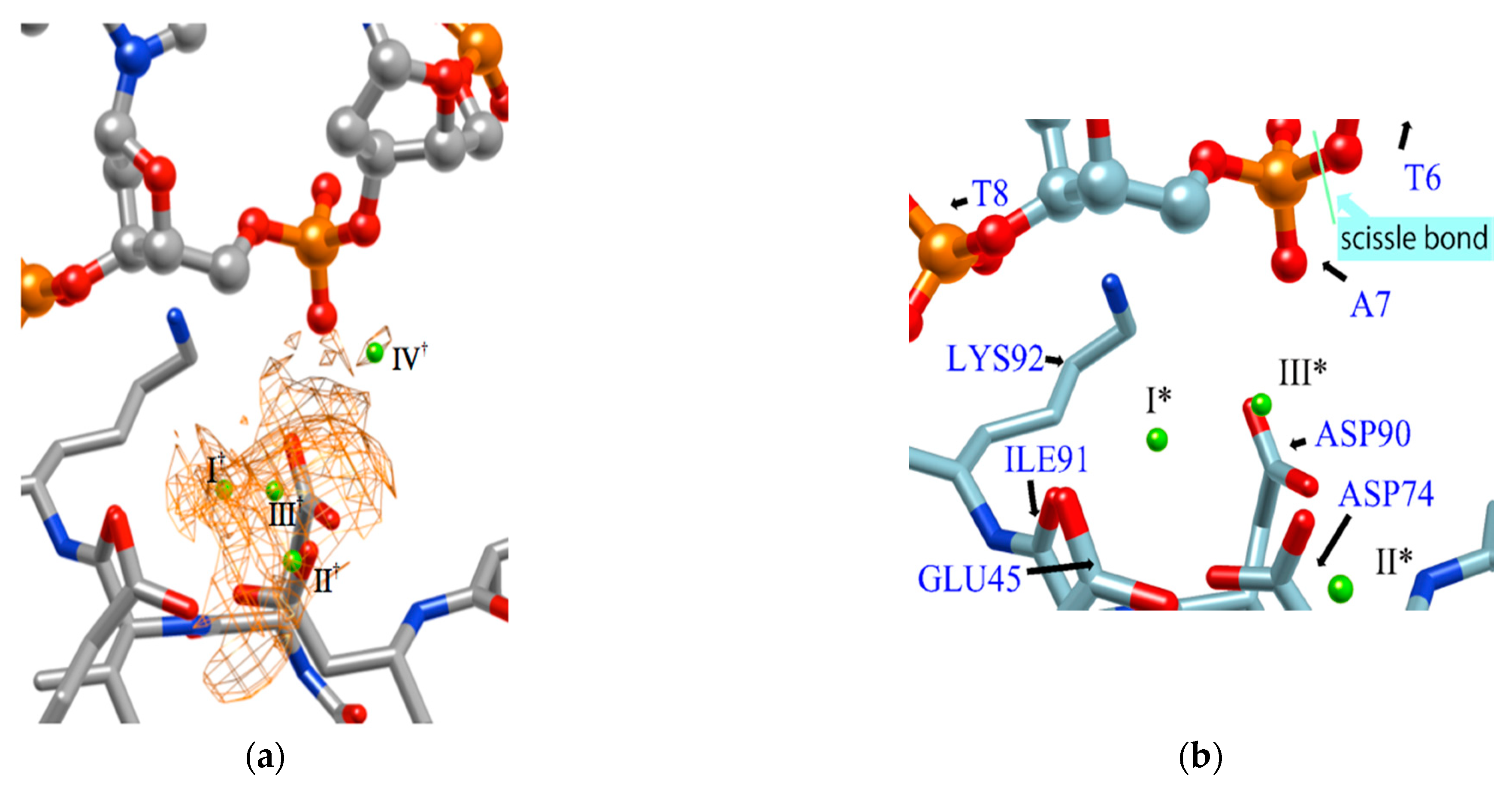 Molecules 26 00271 g007