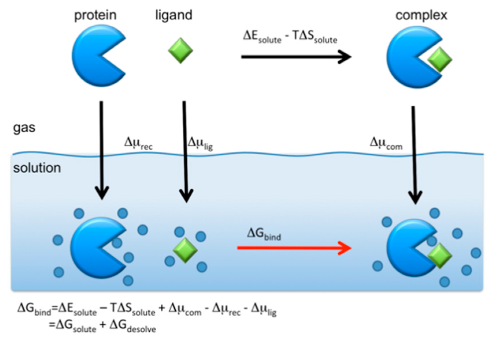 Molecules 26 00271 g011