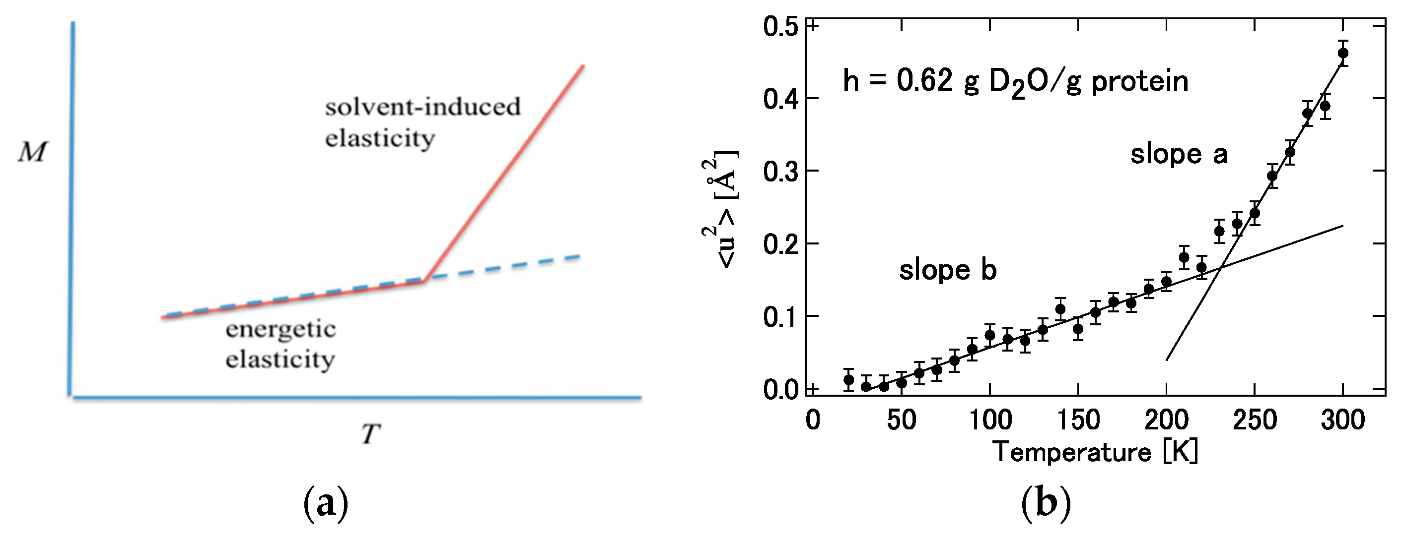 Molecules 26 00271 g014