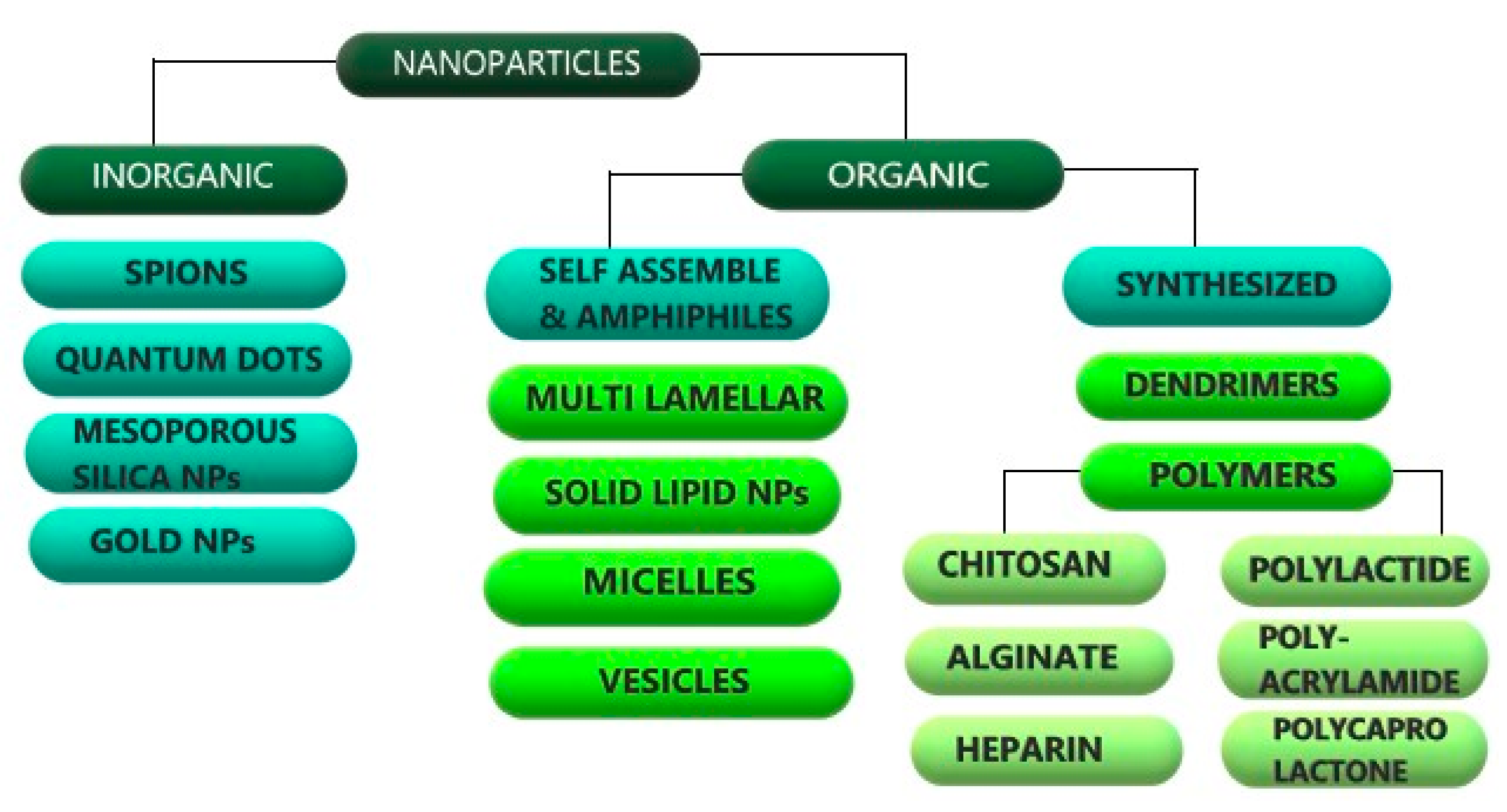 Molecules 26 00272 g001