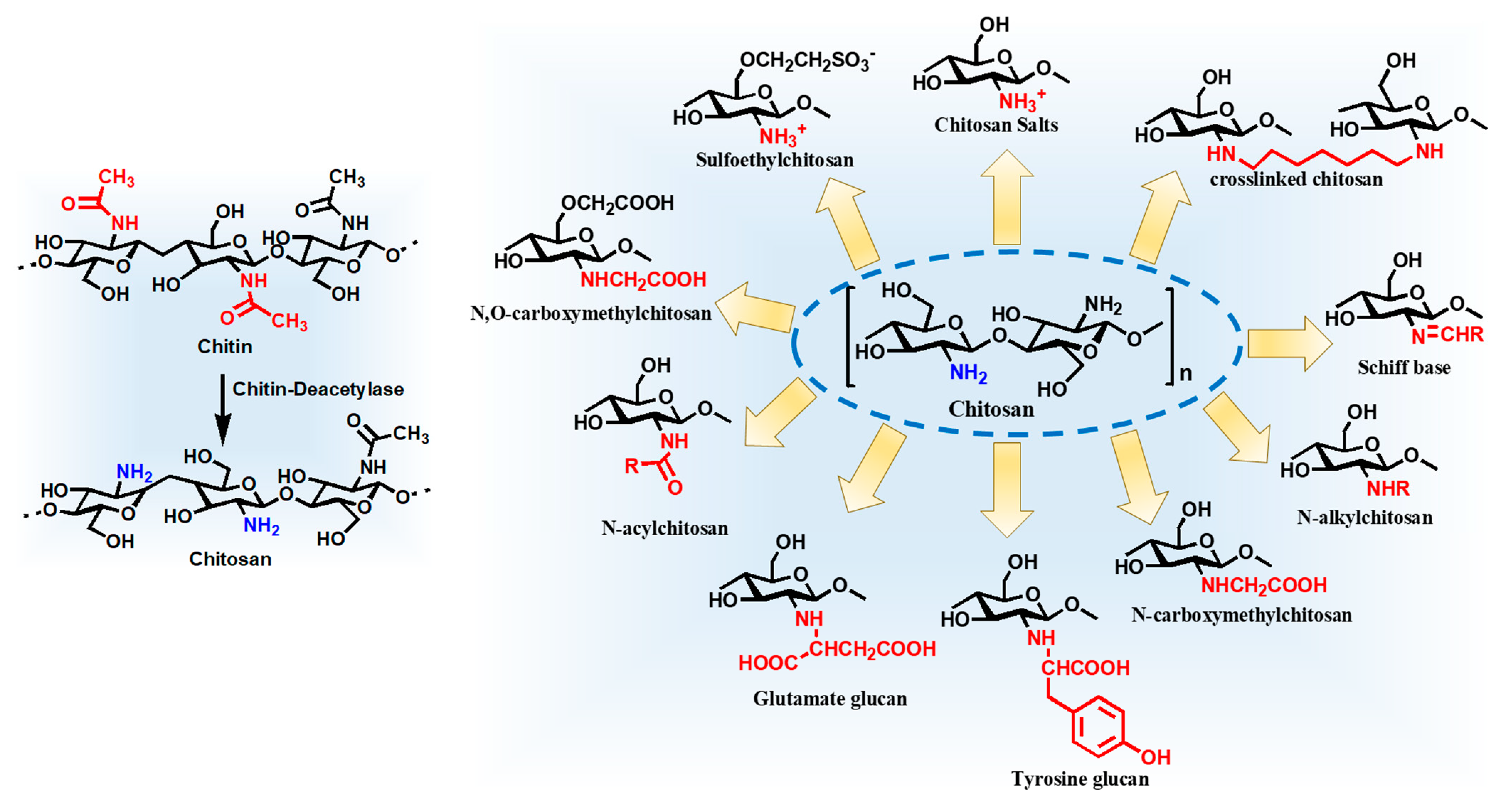 Molecules 26 00272 g002
