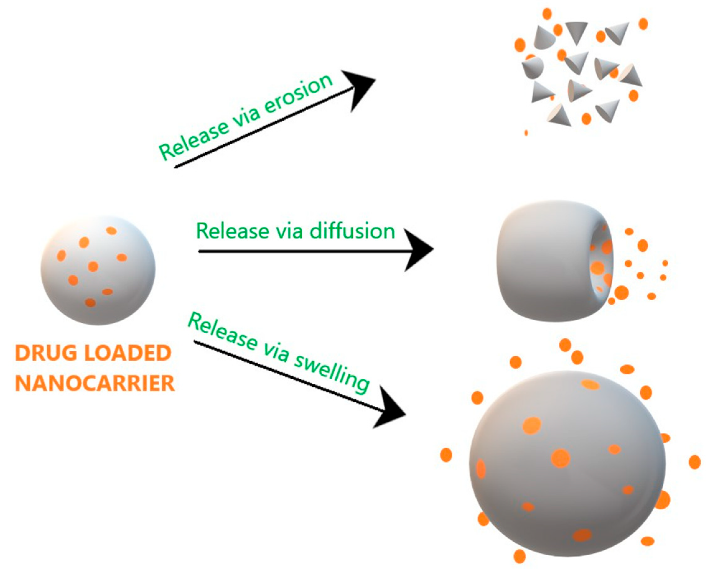 Molecules 26 00272 g004