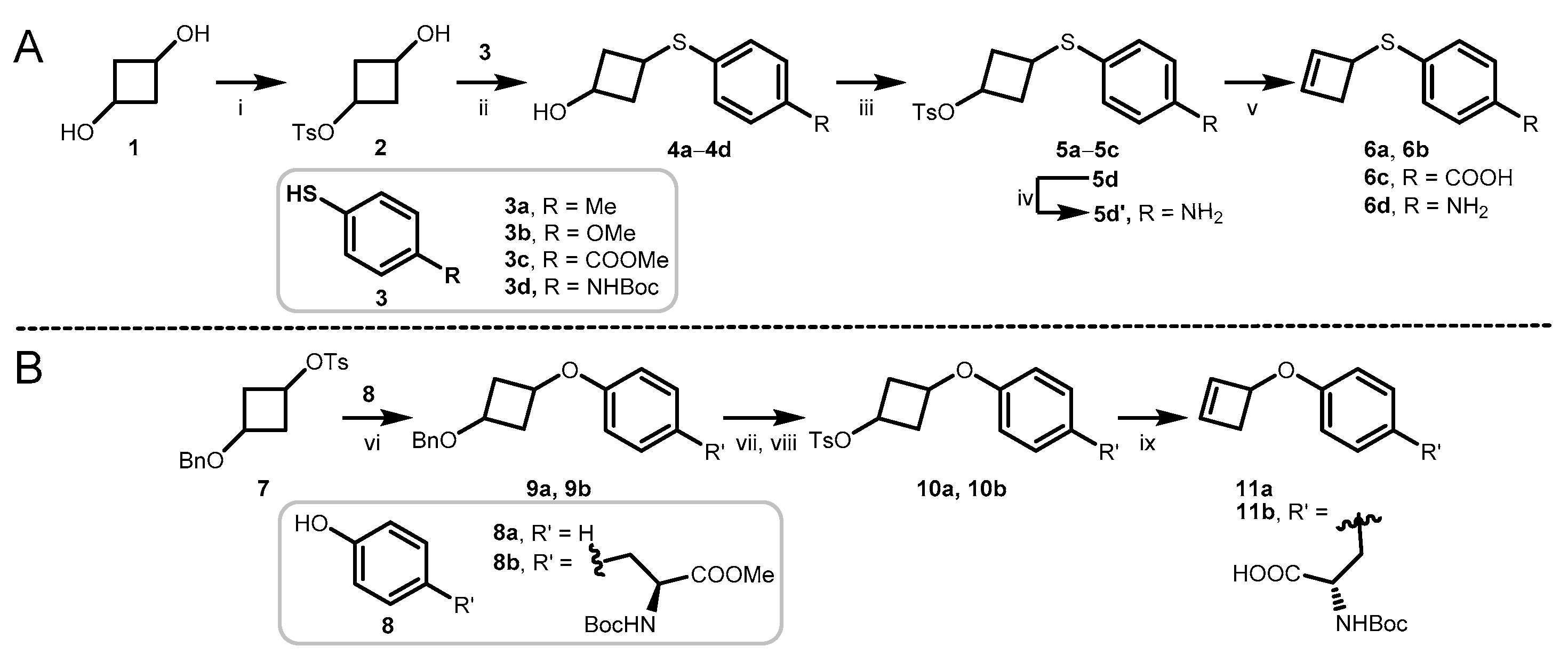 Molecules 26 00276 sch001