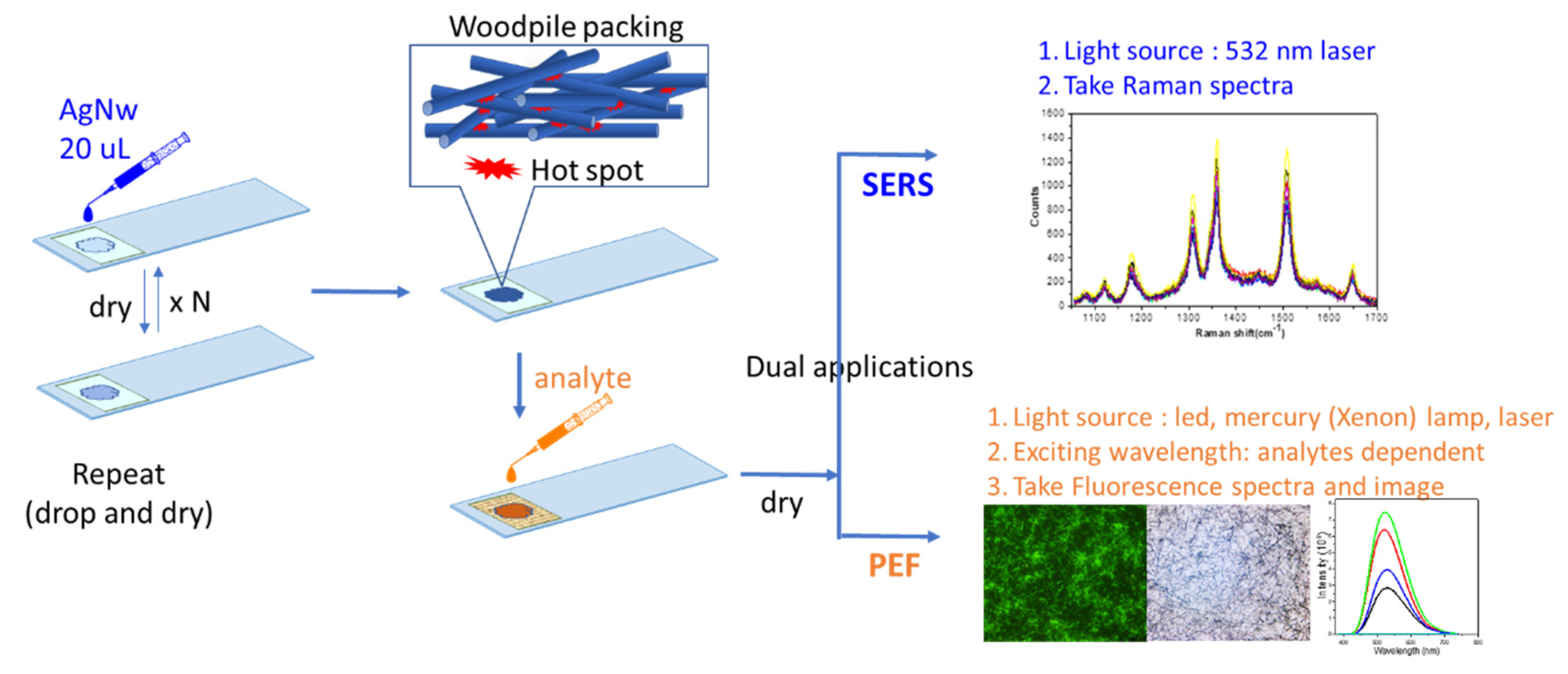 Molecules 26 00281 g001