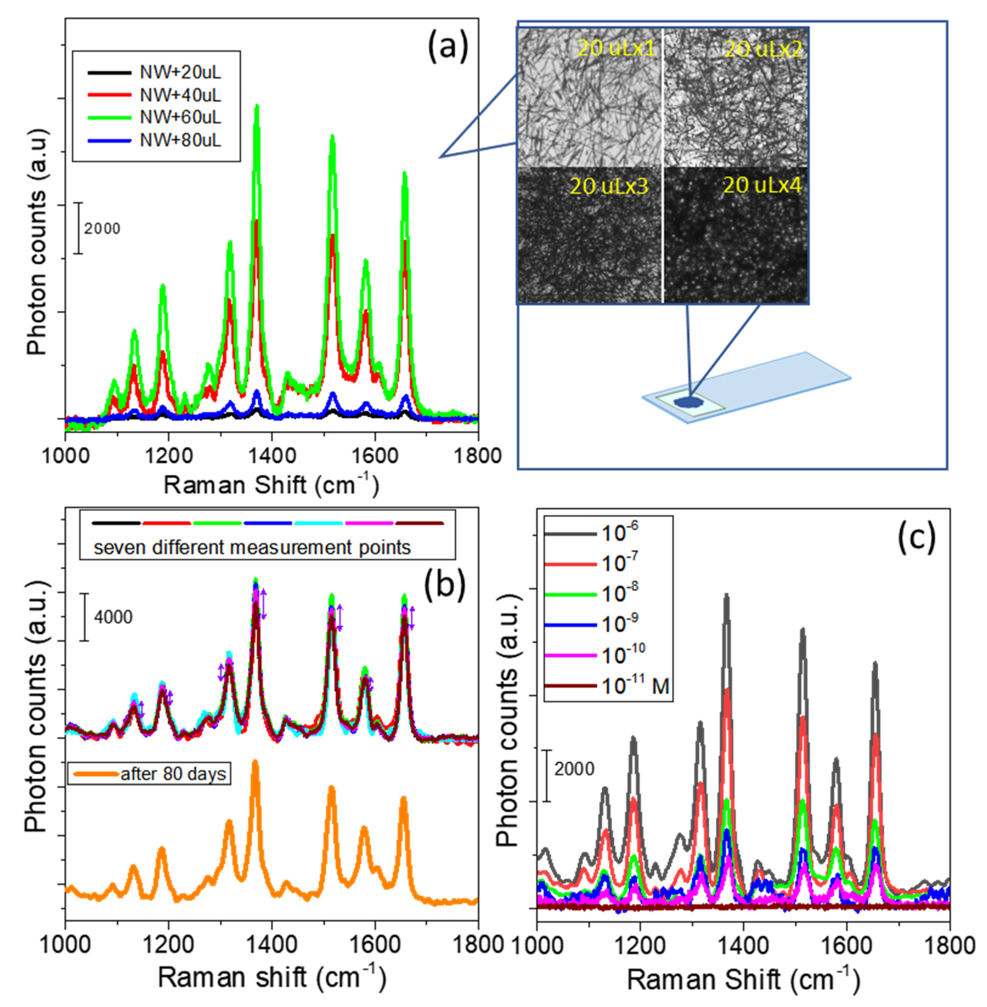 Molecules 26 00281 g003