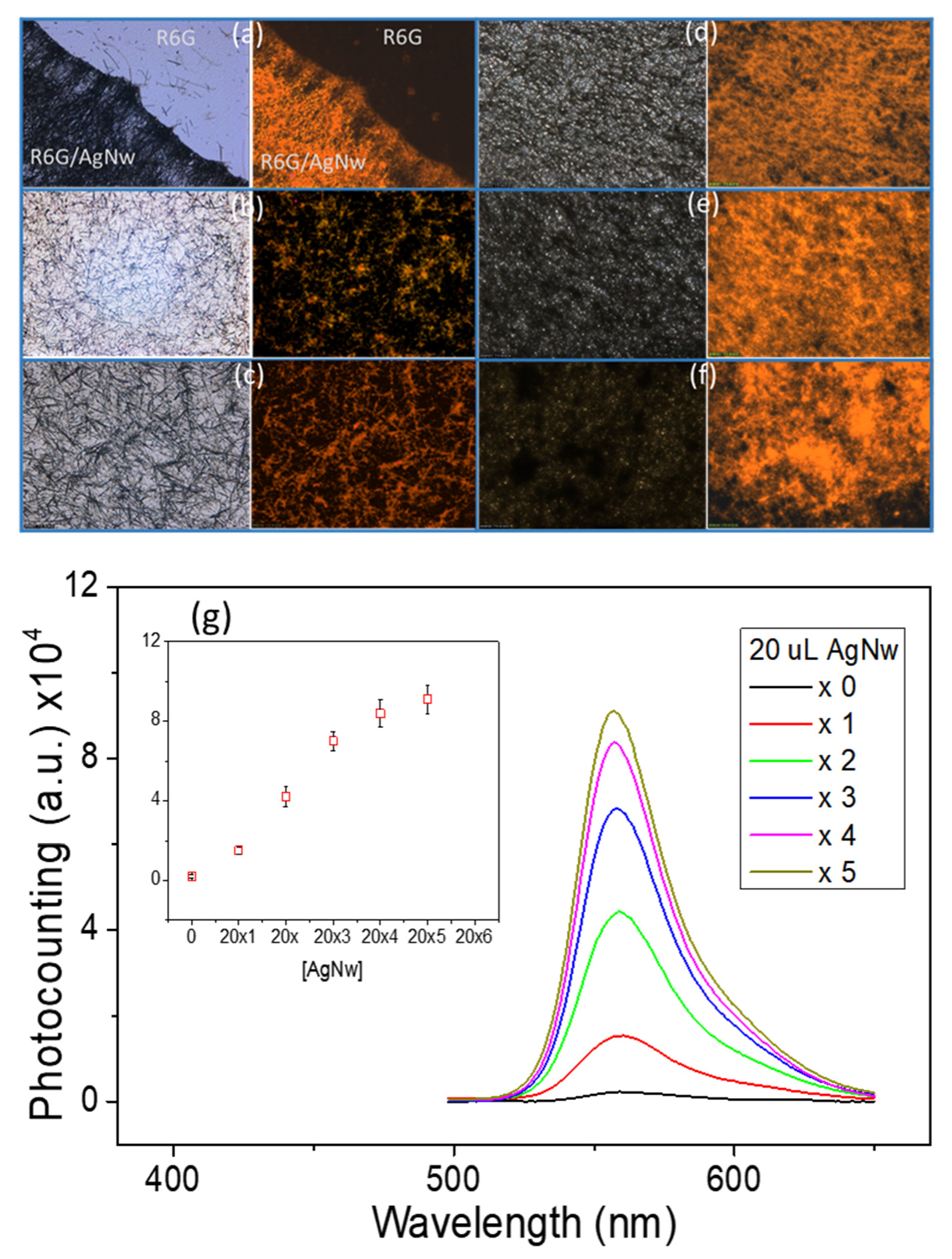 Molecules 26 00281 g004
