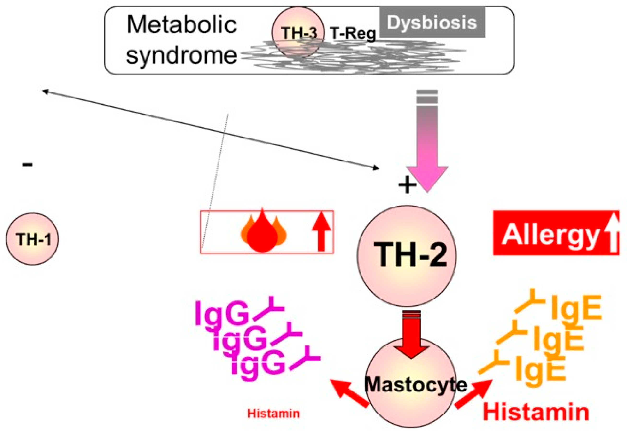 Molecules 26 00283 g001 Molecules 26 00283 g001