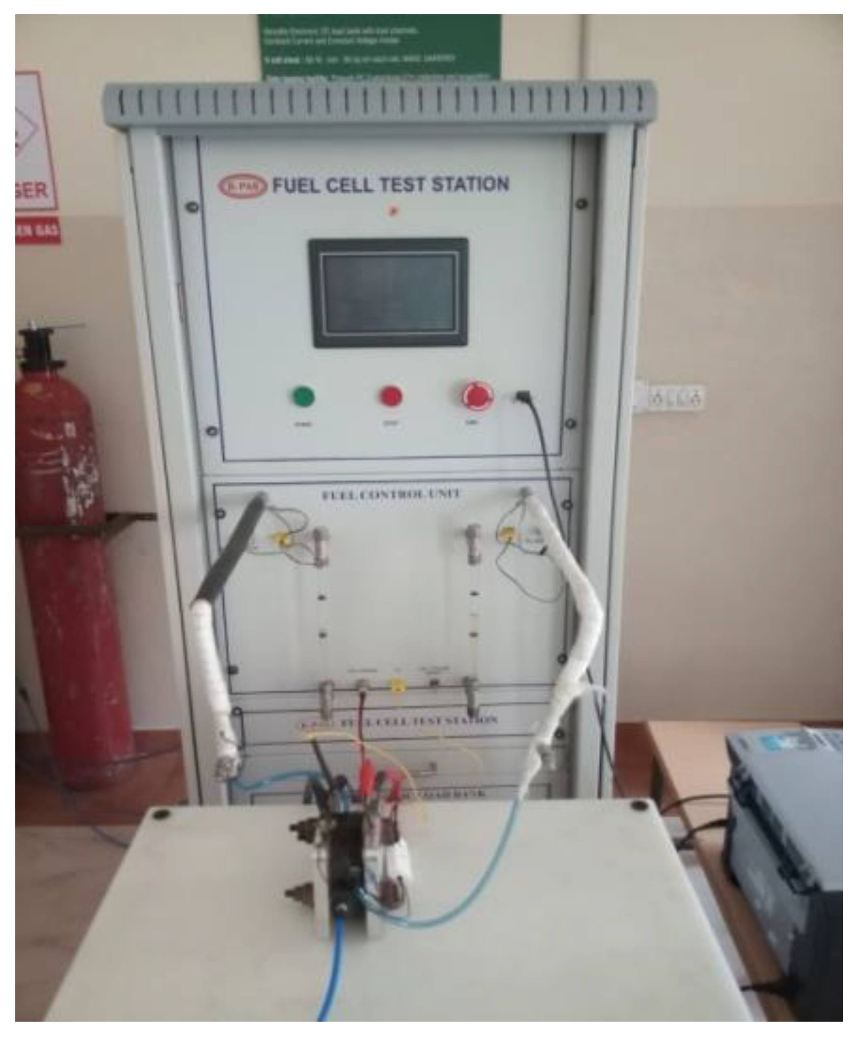 Molecules 26 00286 g004