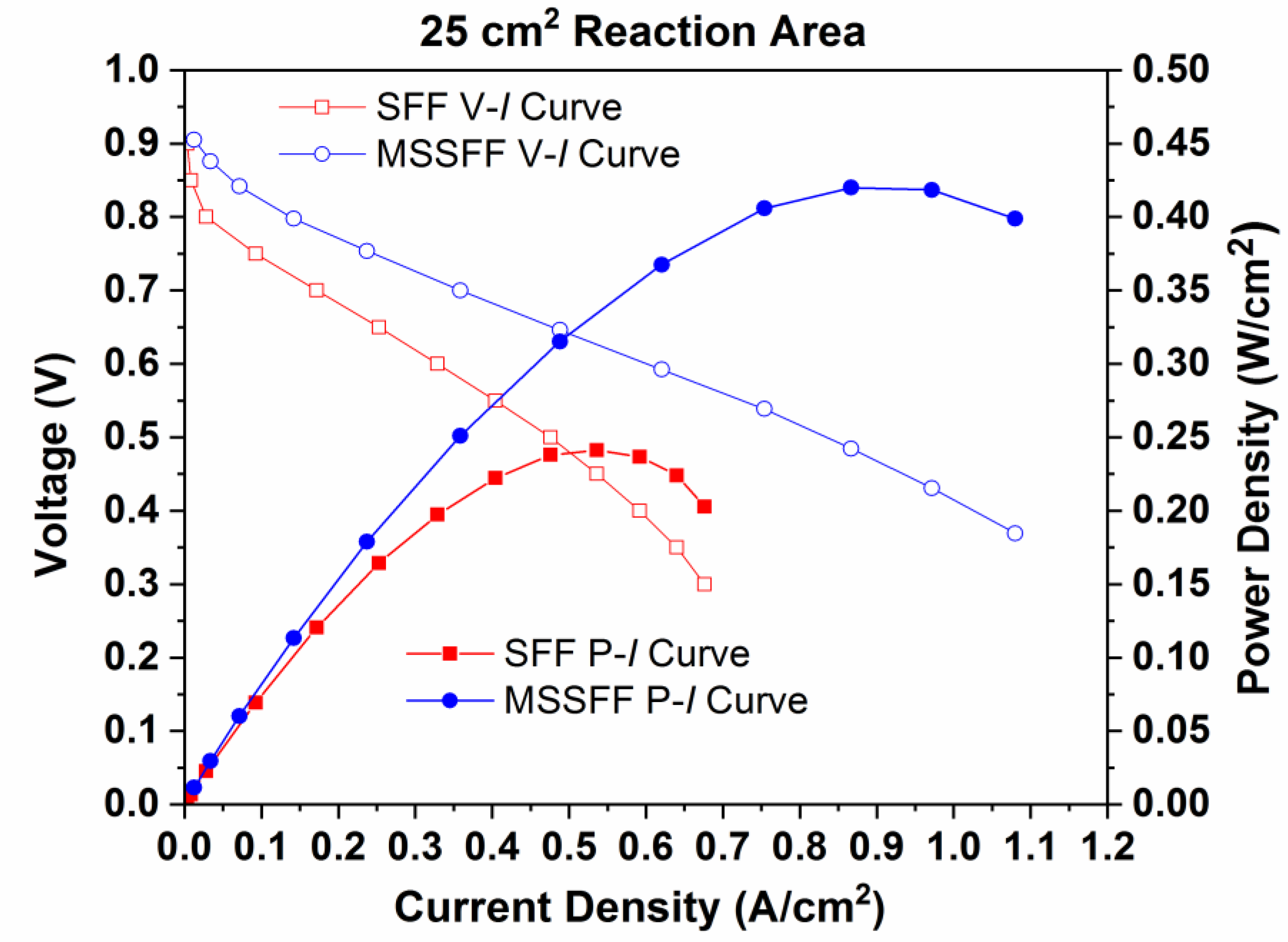 Molecules 26 00286 g006