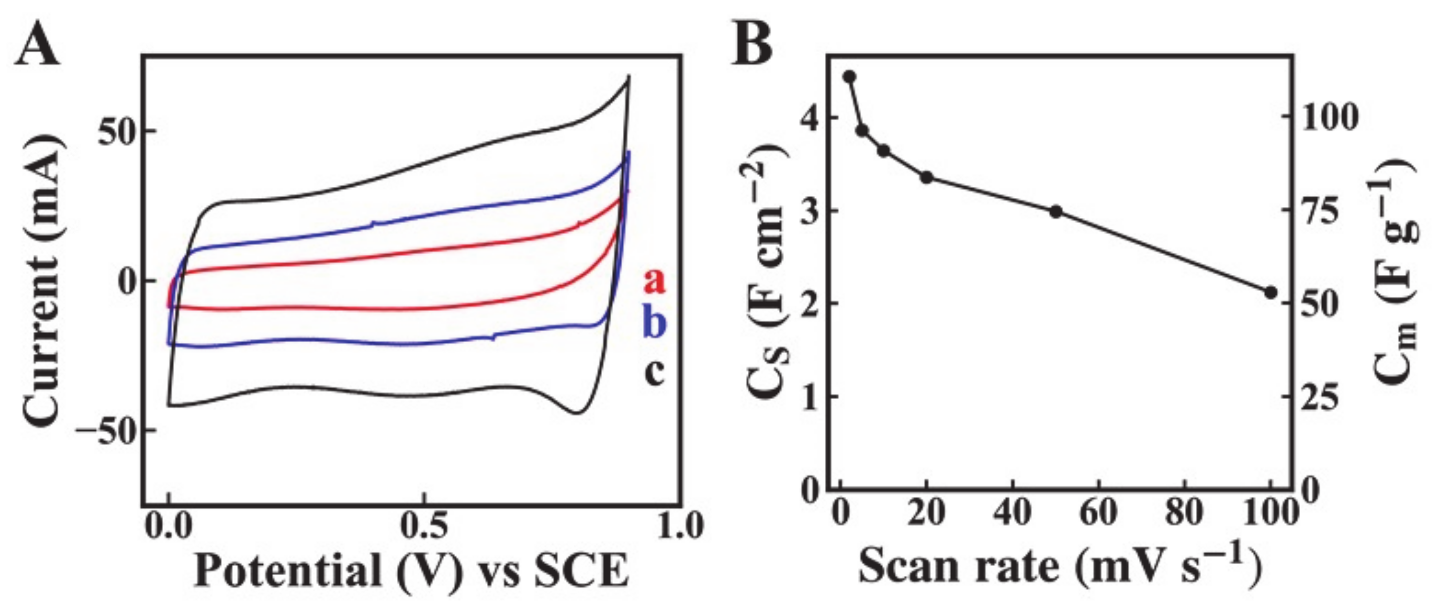 Molecules 26 00296 g005