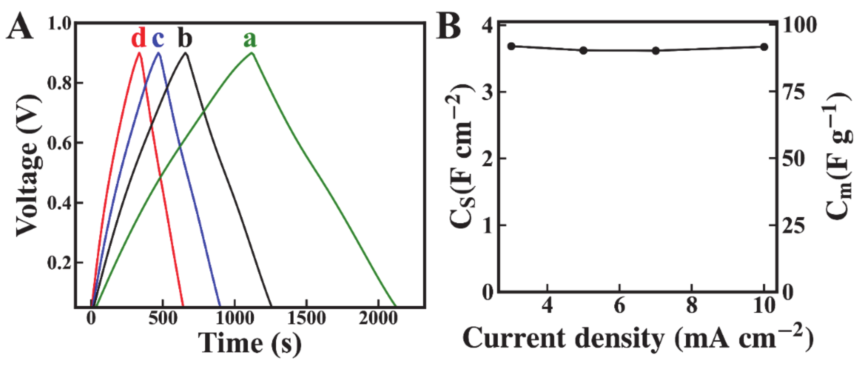 Molecules 26 00296 g006