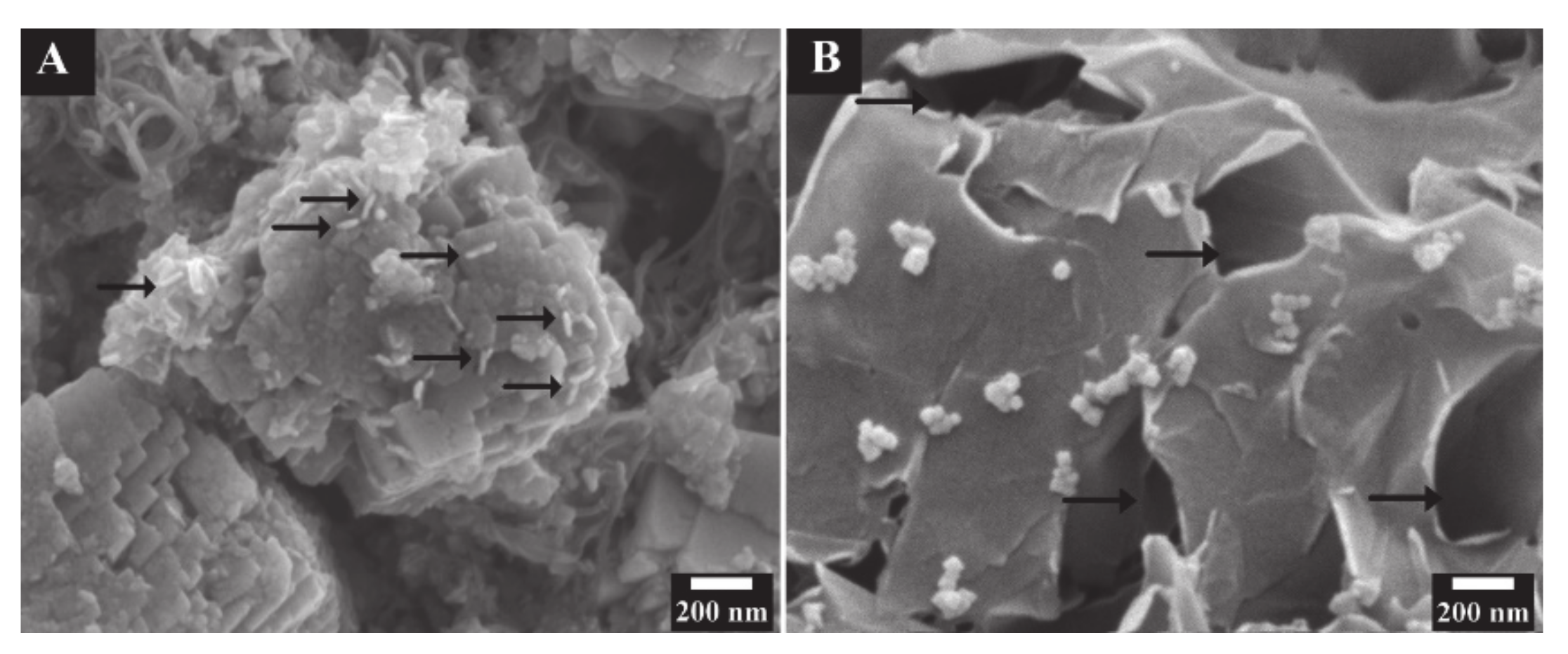 Molecules 26 00296 g009