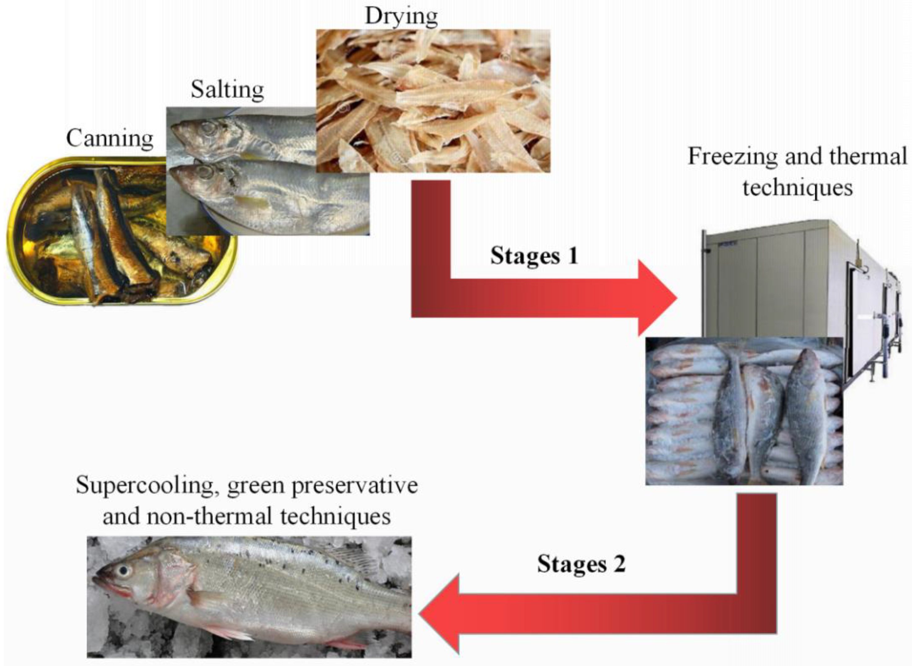 Molecules 26 00307 g003