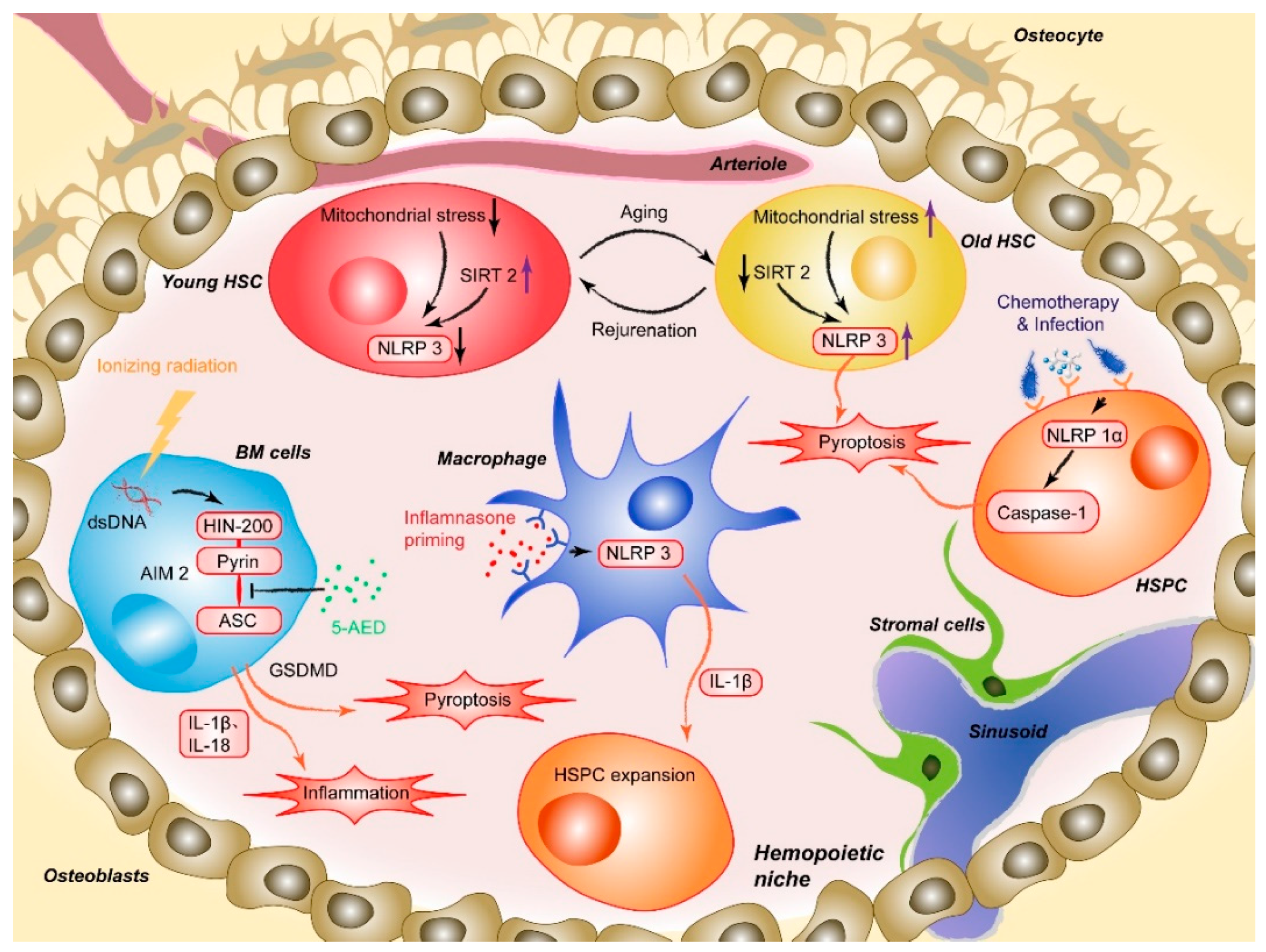 Molecules 26 00309 g001
