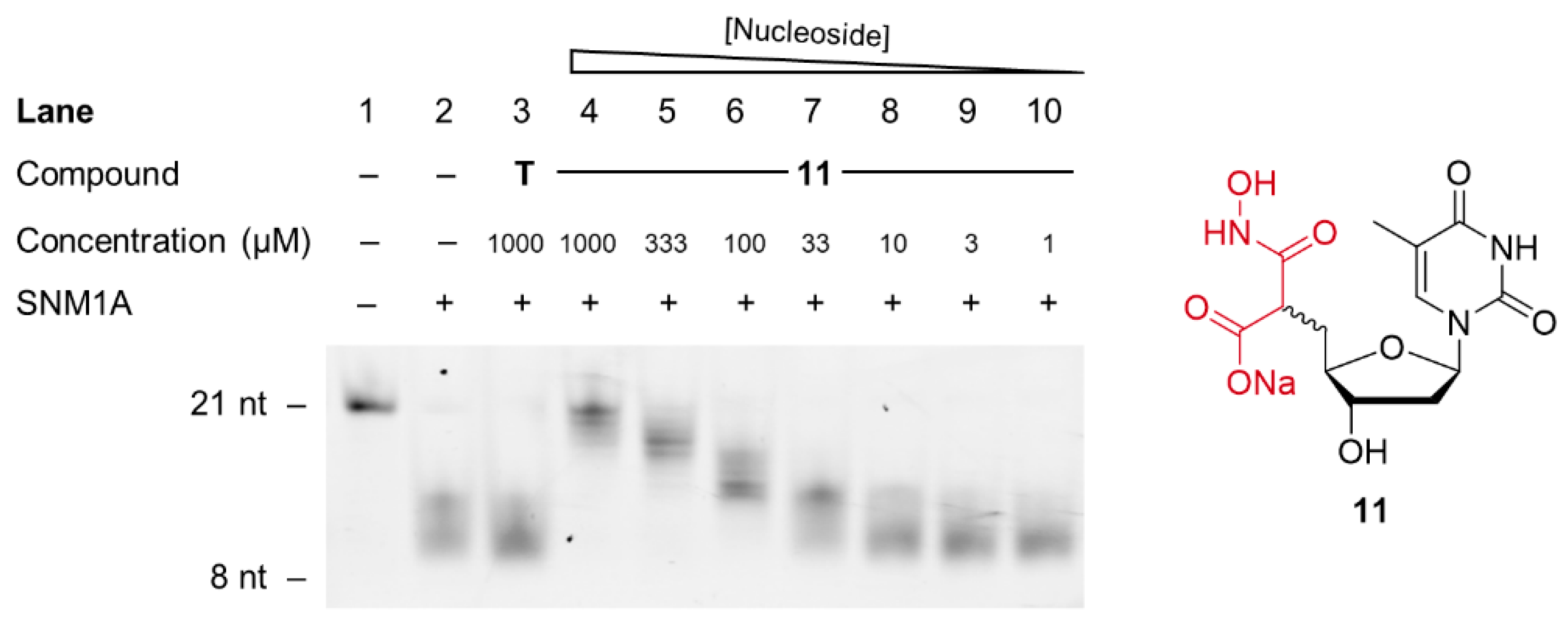 Molecules 26 00320 g003 Molecules 26 00320 g003