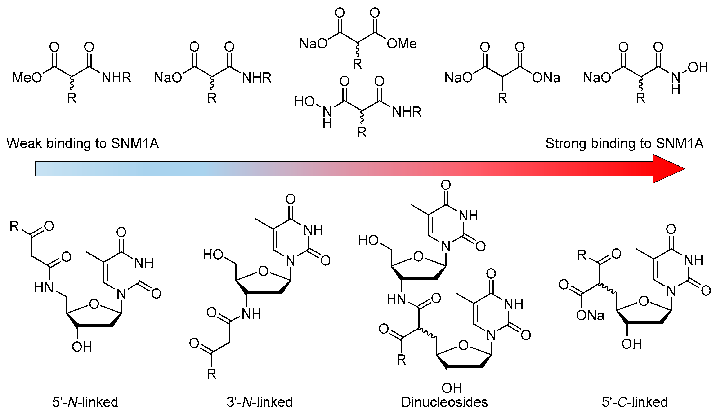 Molecules 26 00320 g004 Molecules 26 00320 g004