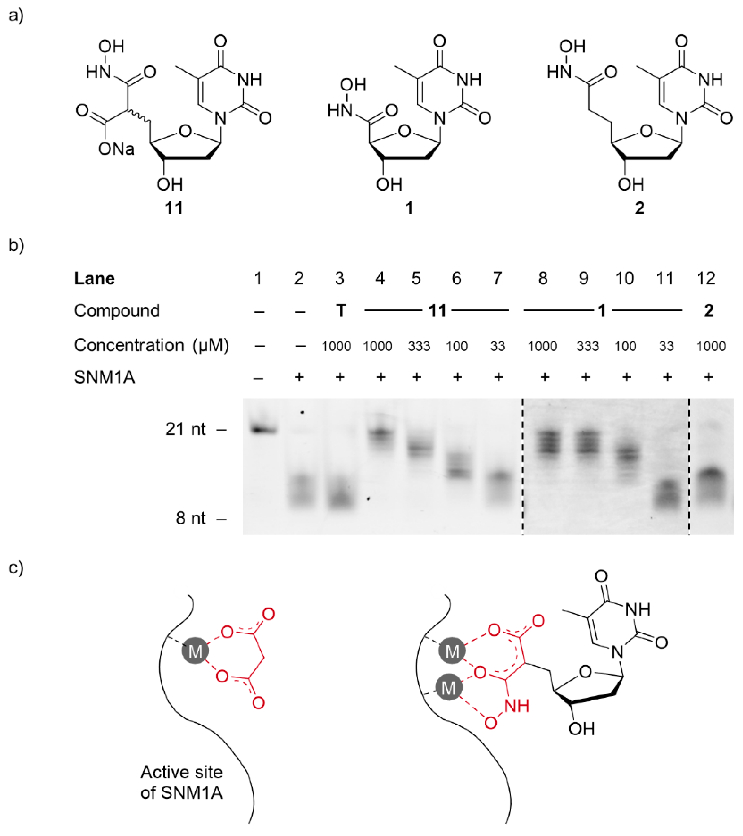 Molecules 26 00320 g005 Molecules 26 00320 g005