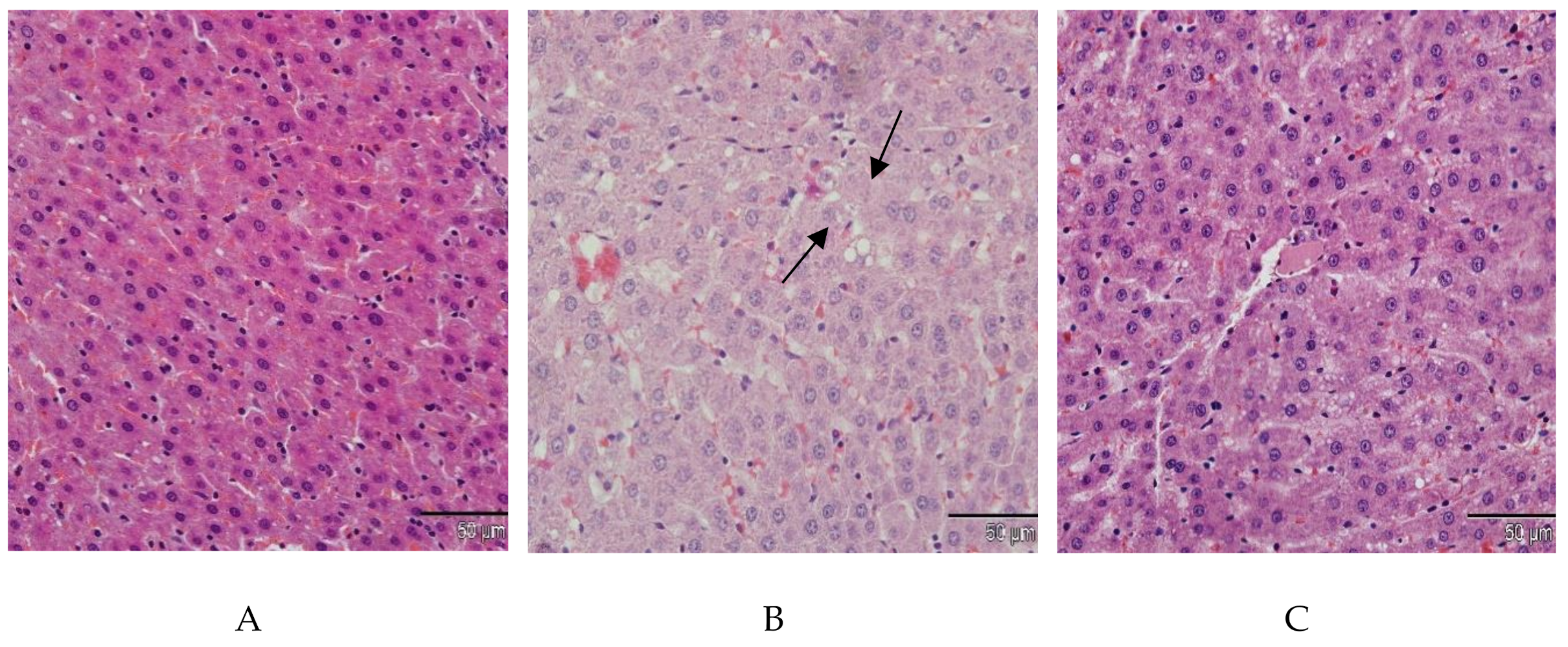 Molecules 26 00321 g002a Molecules 26 00321 g002a