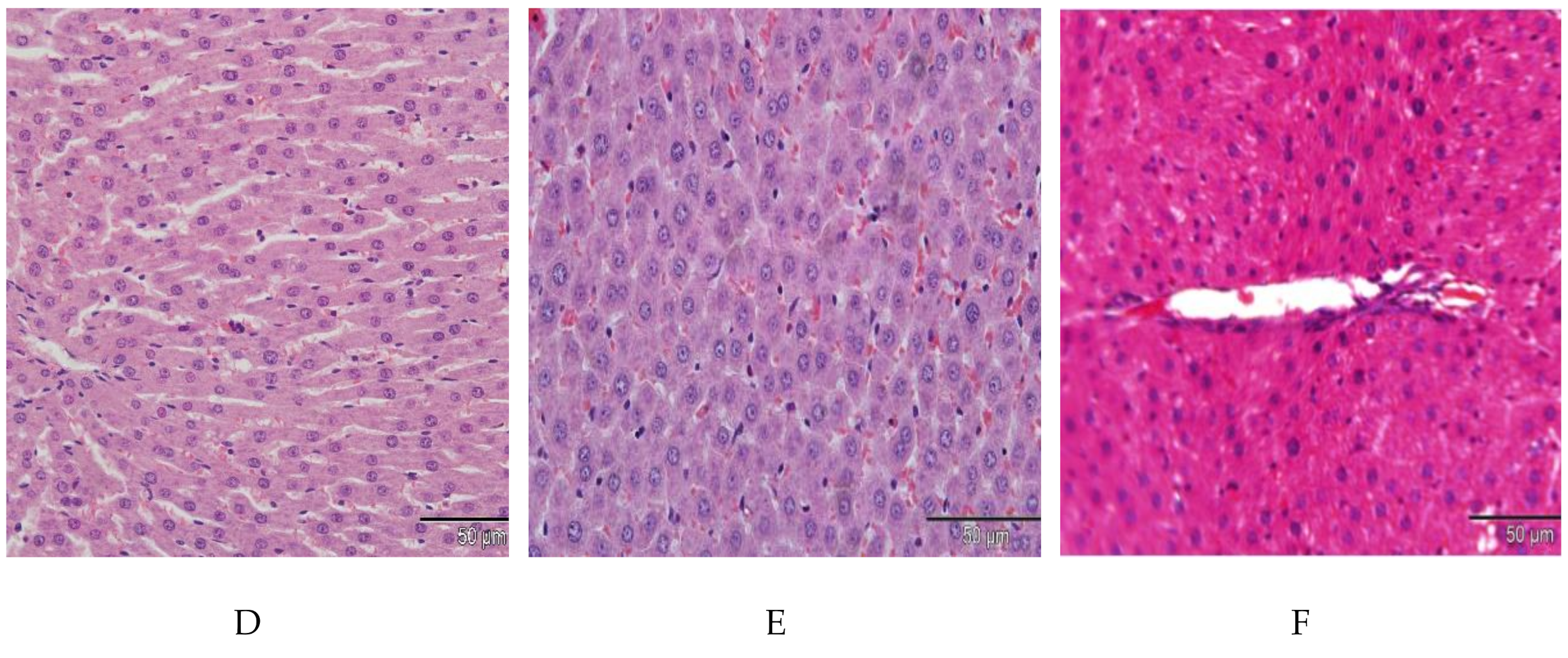 Molecules 26 00321 g002b Molecules 26 00321 g002b