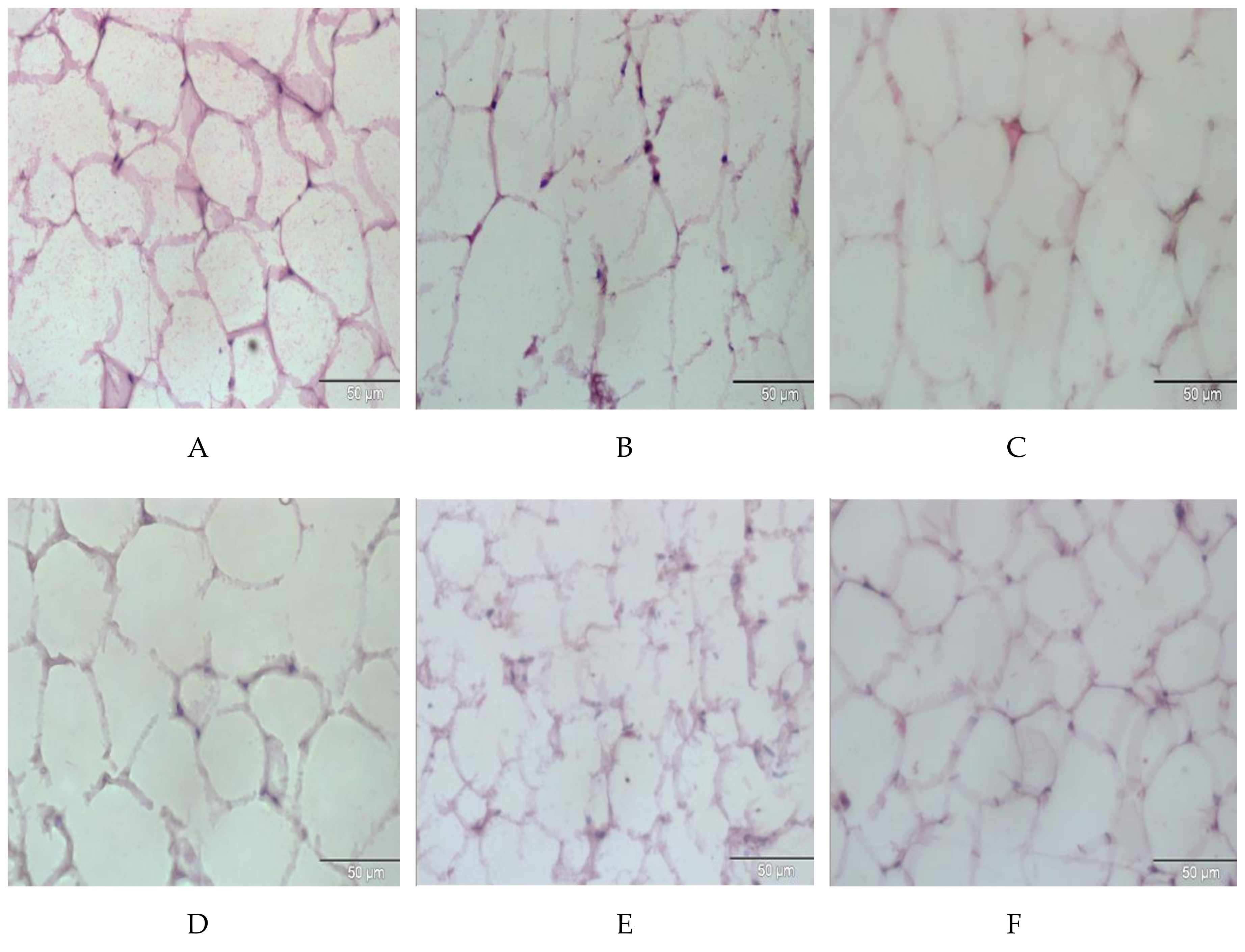 Molecules 26 00321 g003 Molecules 26 00321 g003