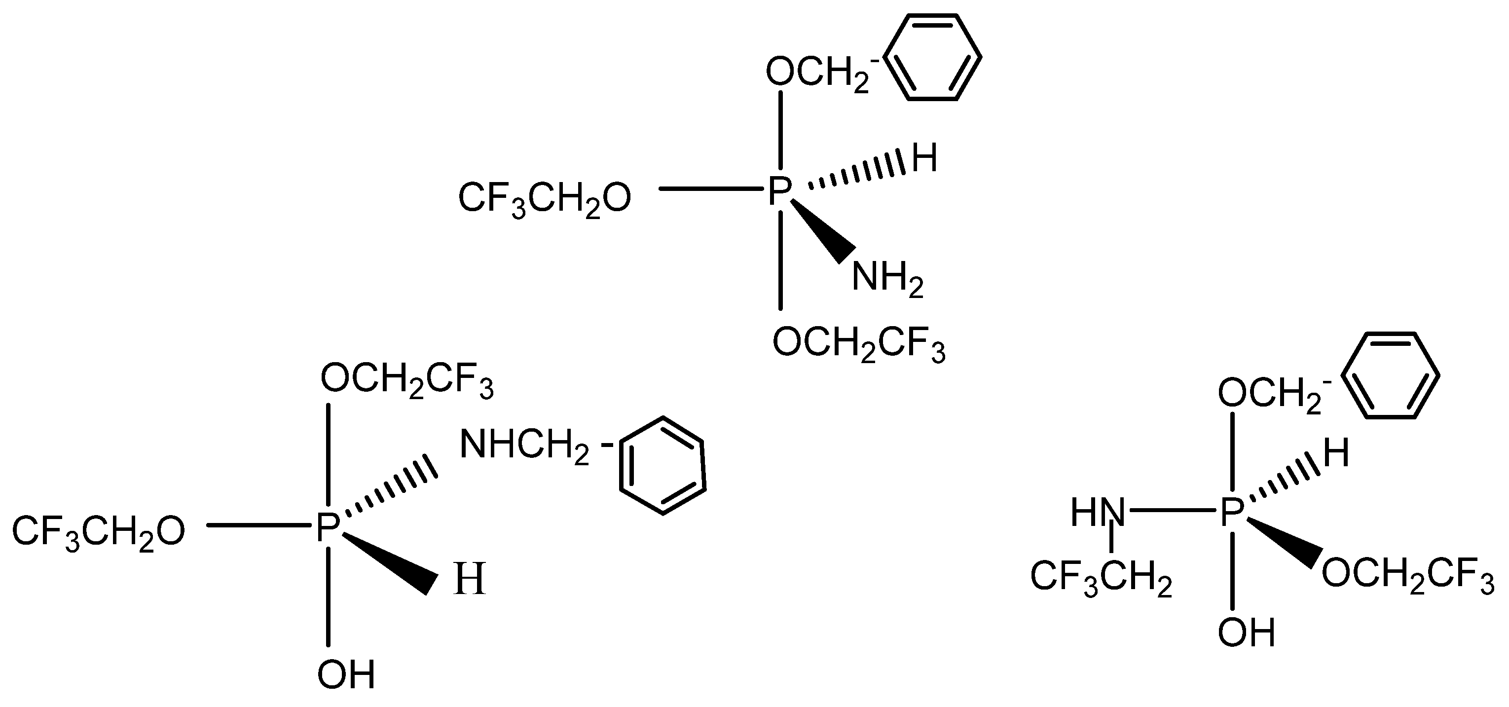Molecules 26 00322 sch004