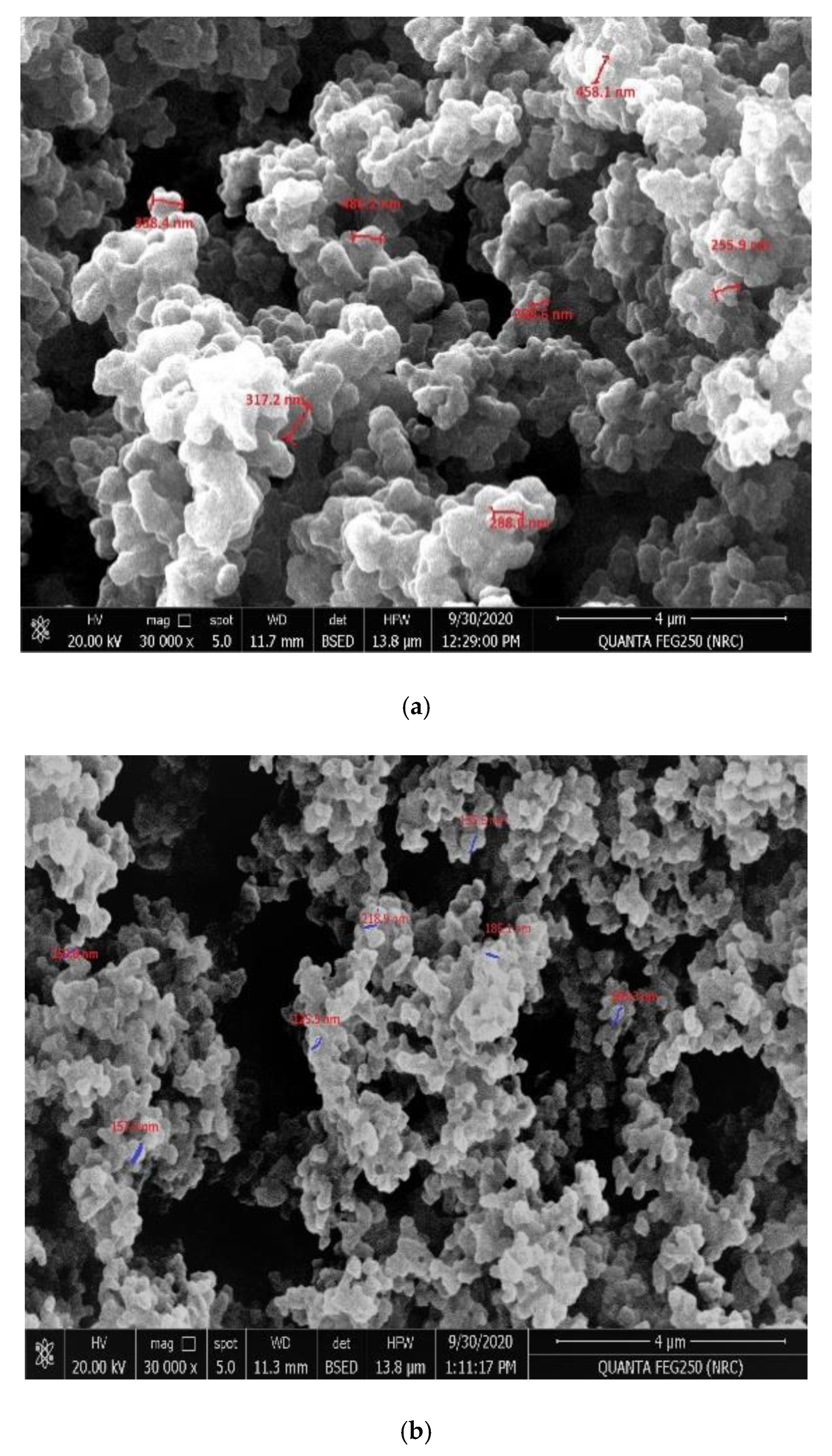 Molecules 26 00324 g002