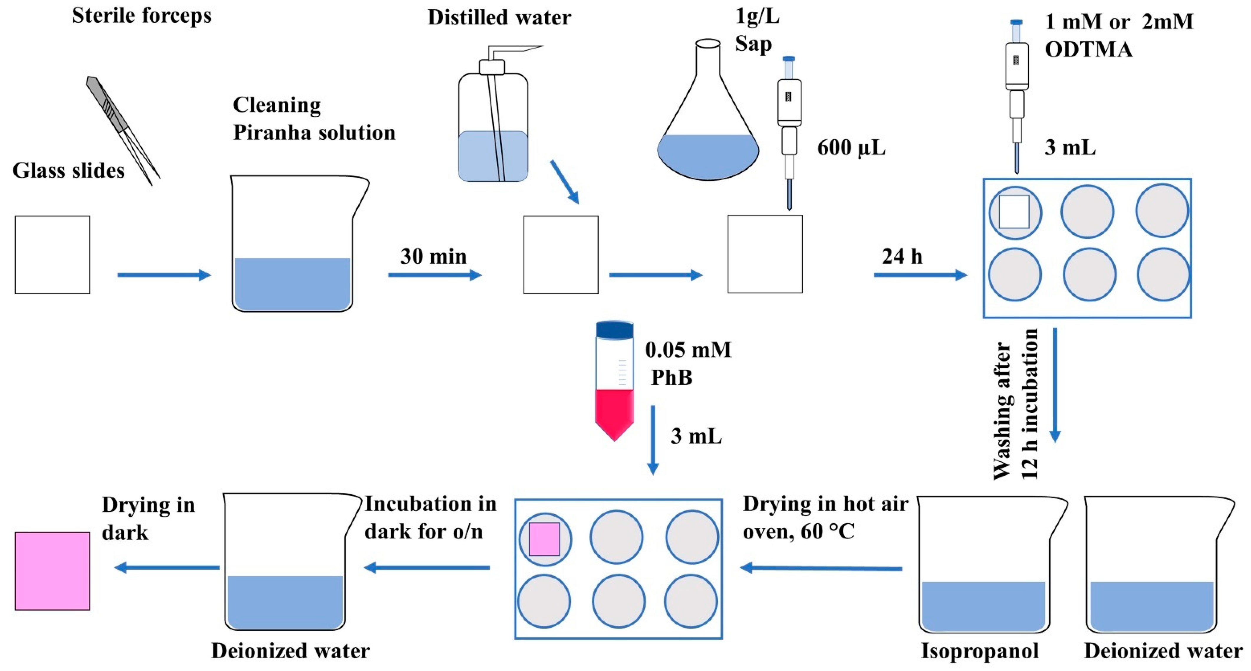 Molecules 26 00325 sch001