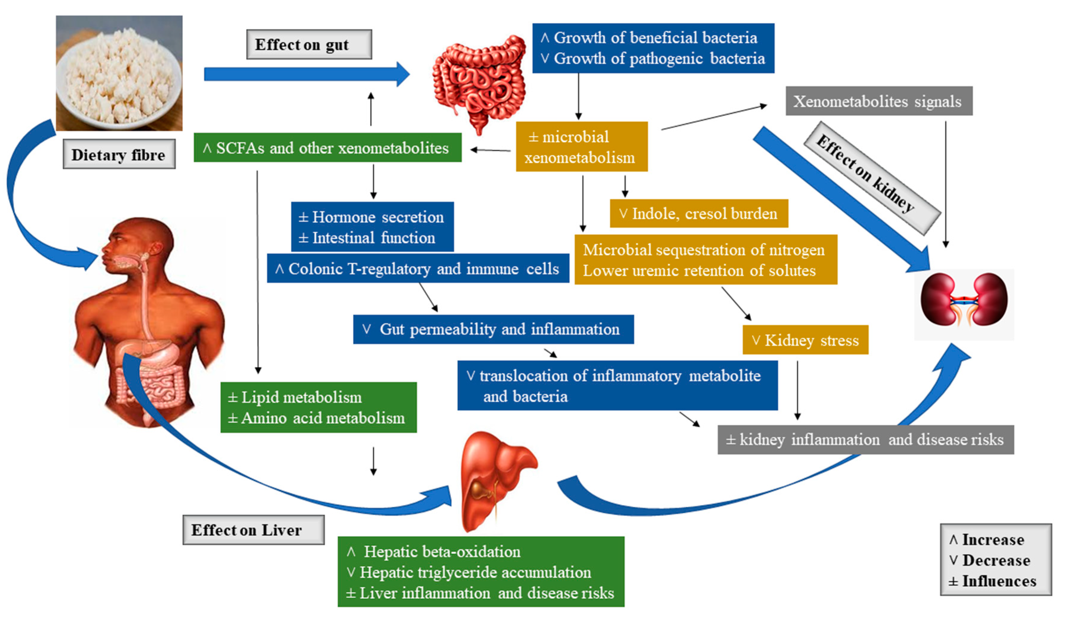 Molecules 26 00326 g002