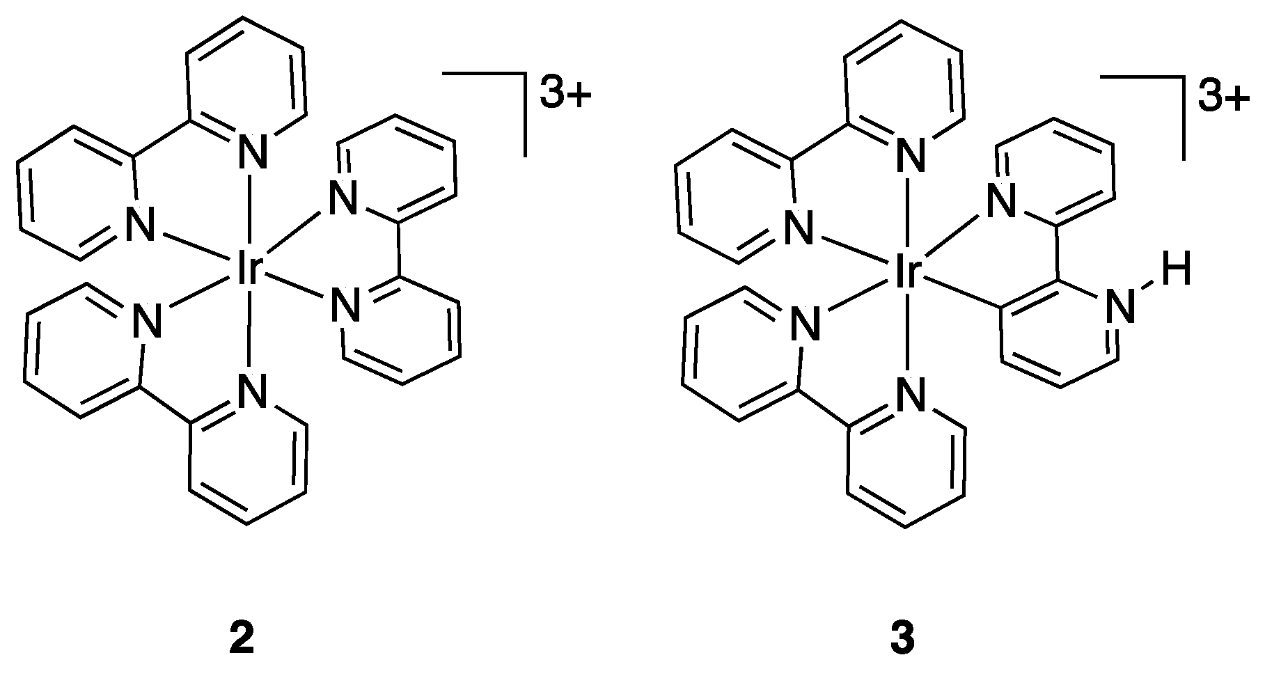 Molecules 26 00328 g004