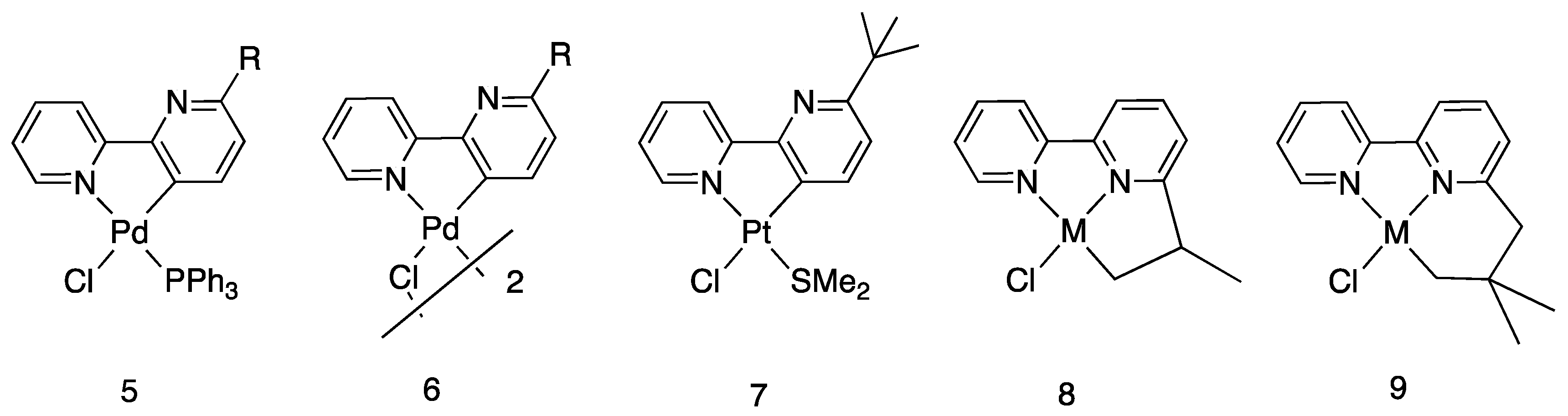 Molecules 26 00328 g007