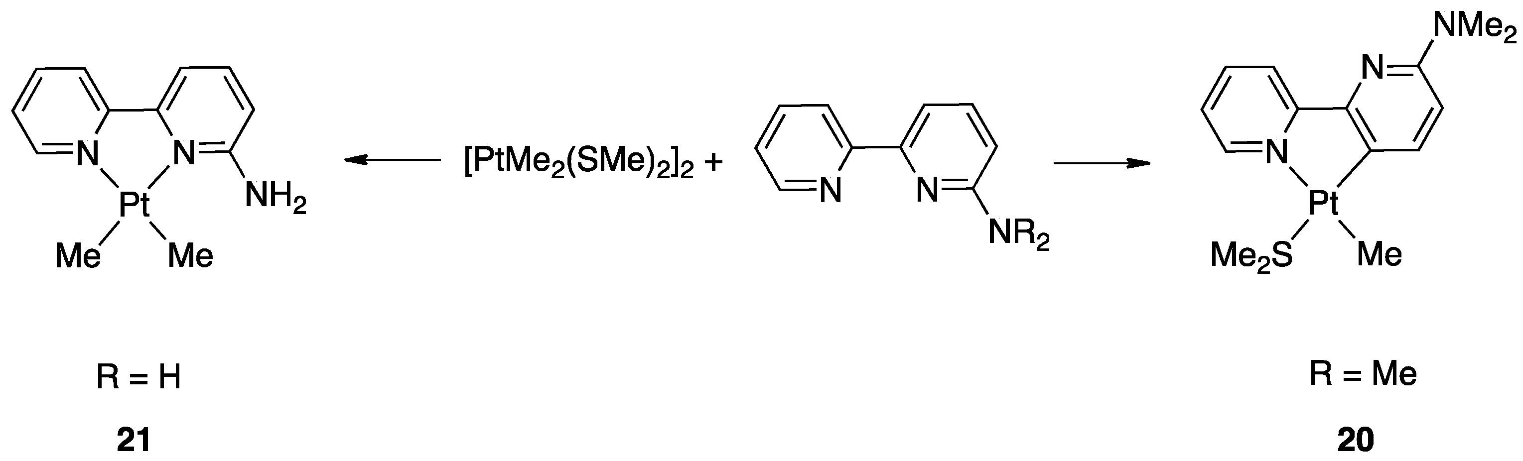 Molecules 26 00328 g015