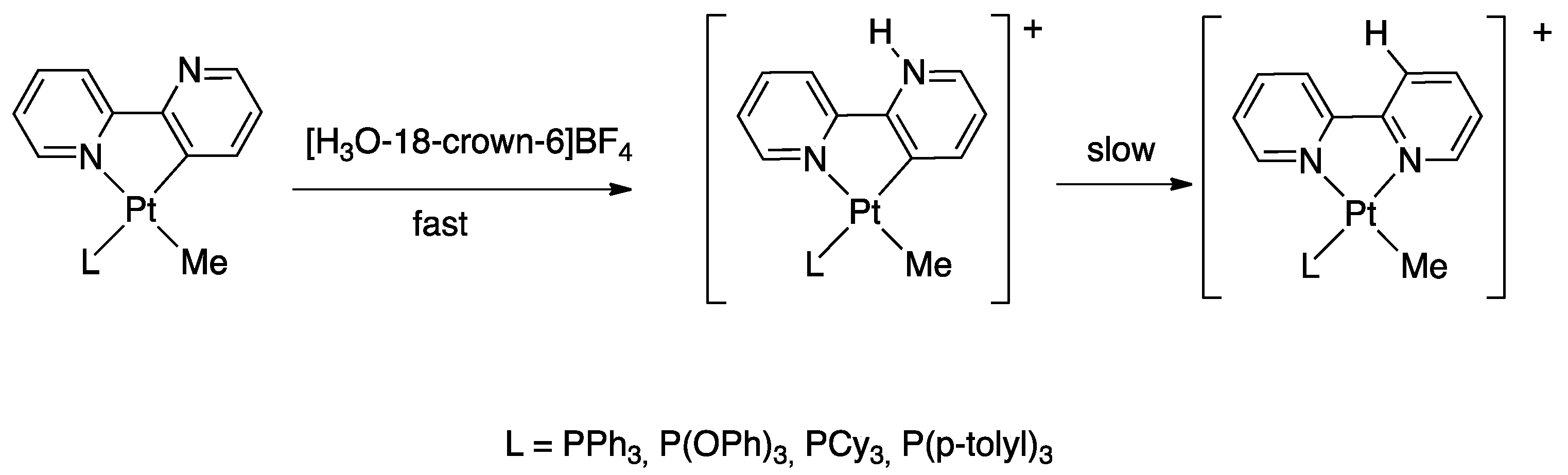 Molecules 26 00328 g030