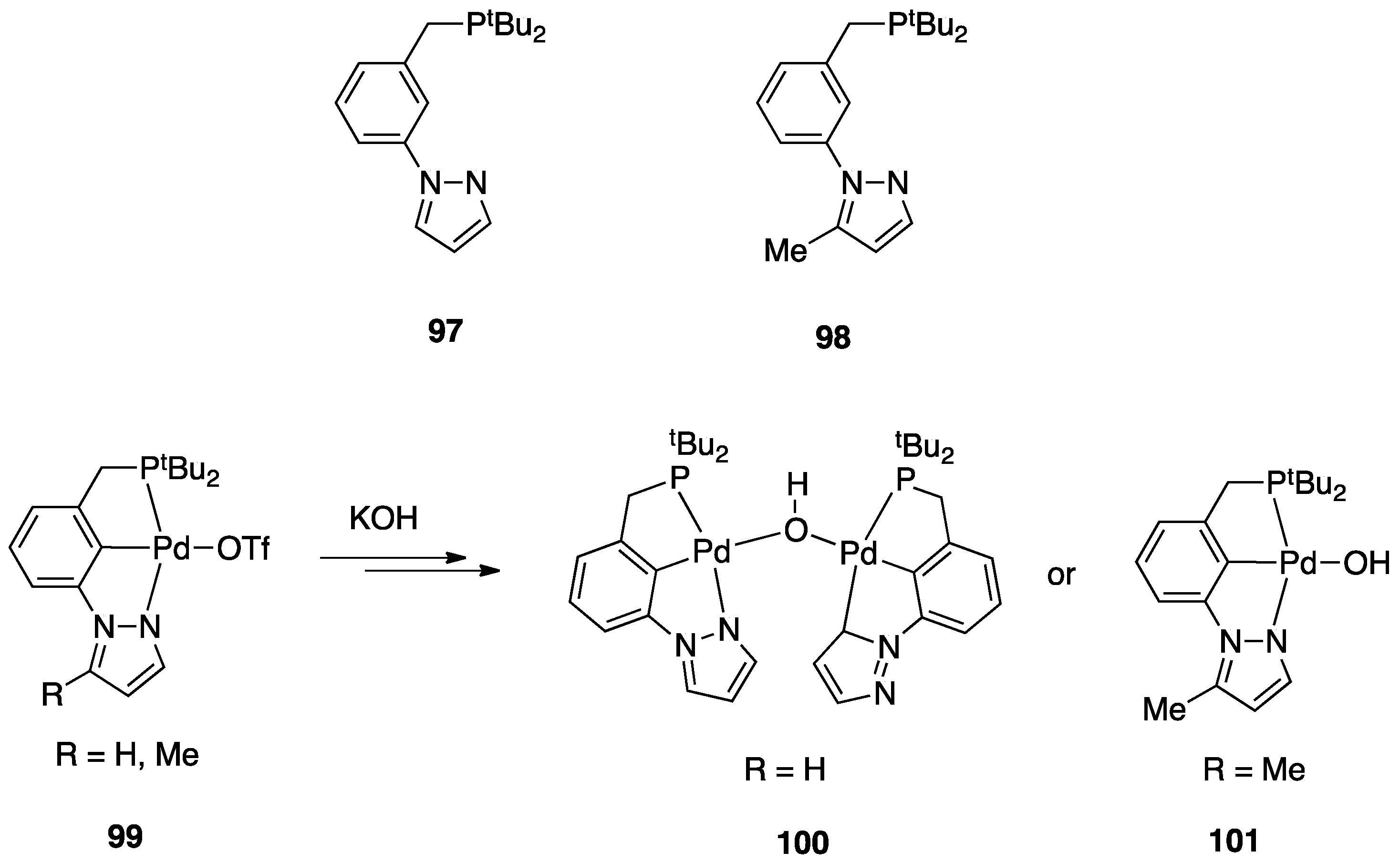 Molecules 26 00328 g051
