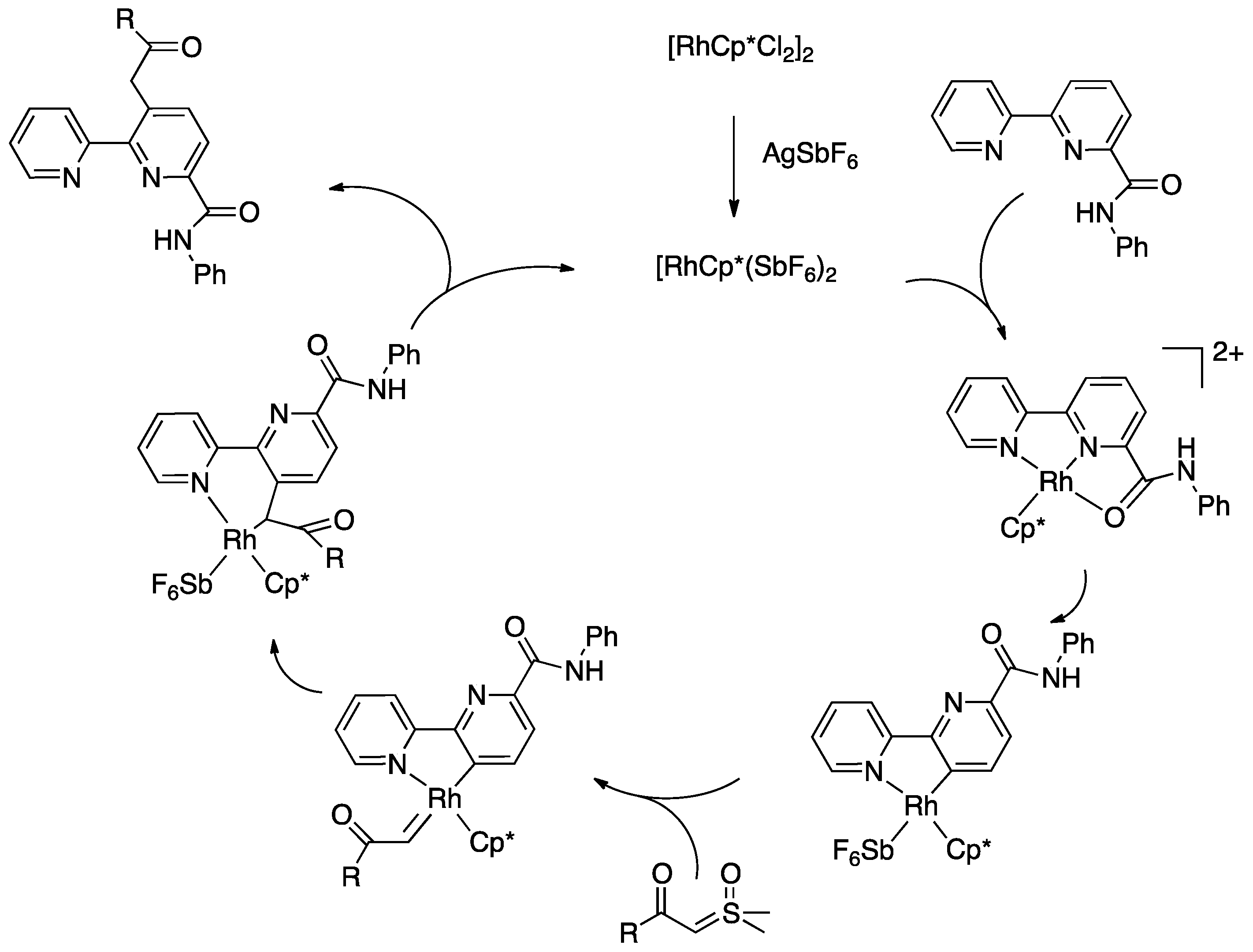 Molecules 26 00328 g074