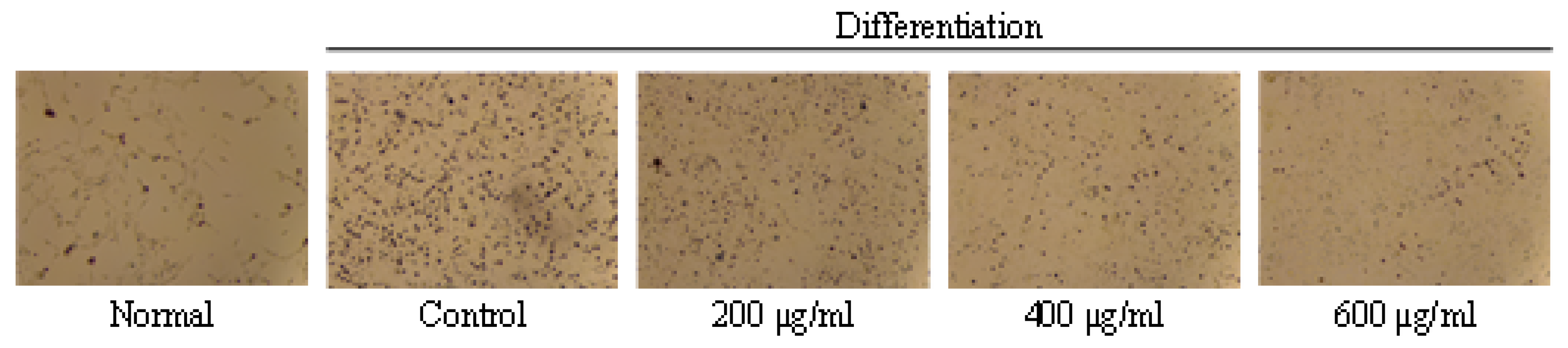 Molecules 26 00331 g001a