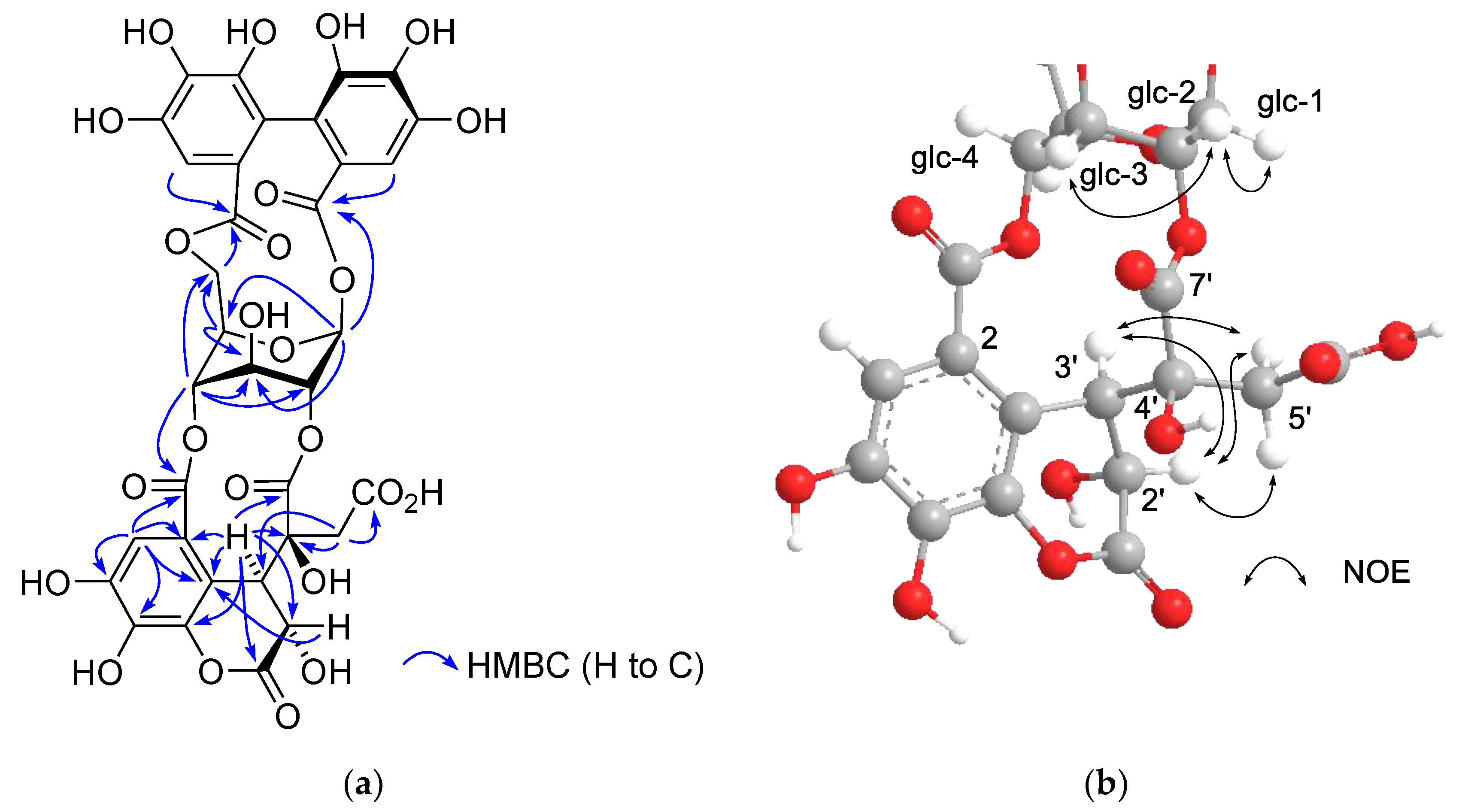 Molecules 26 00337 g005