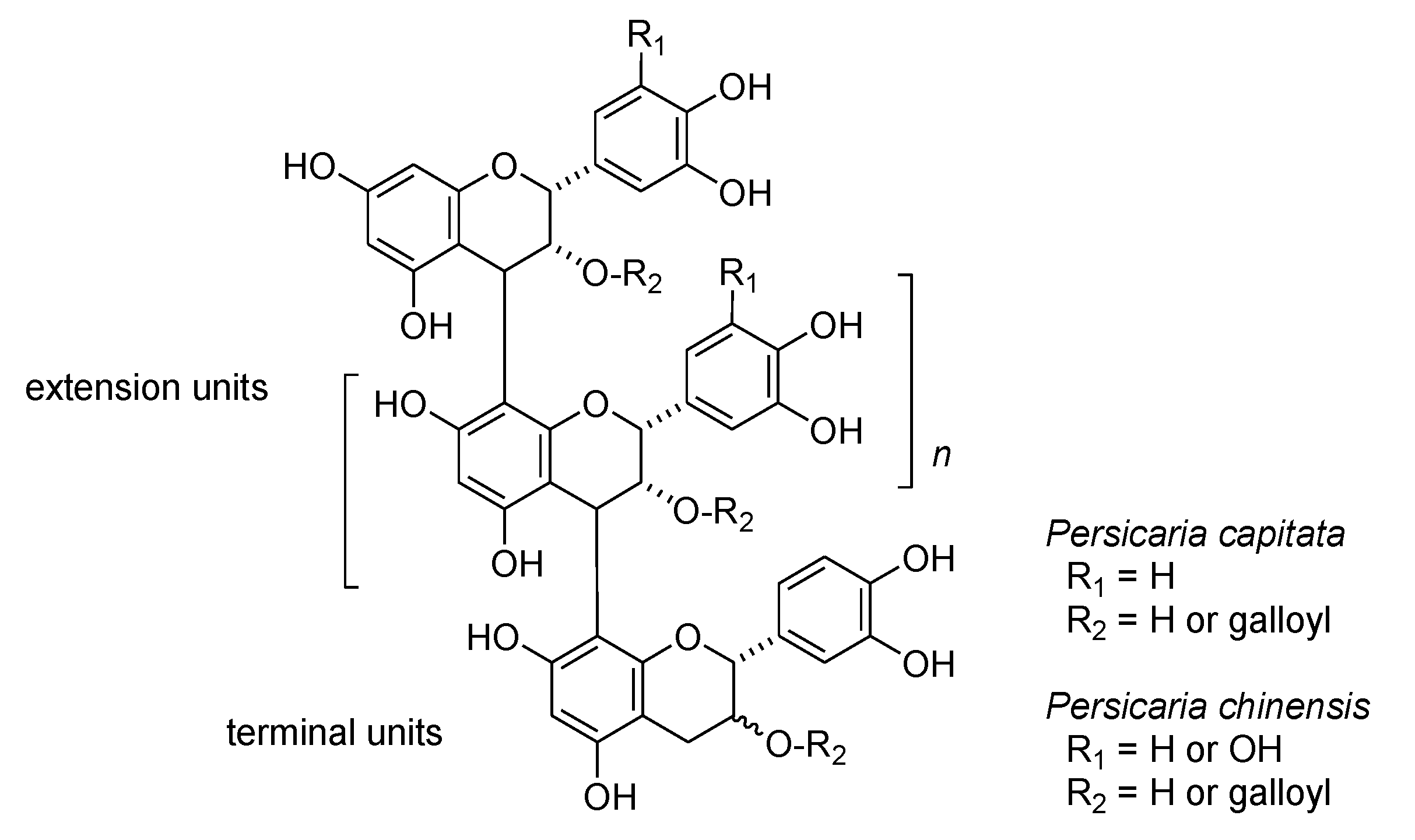 Molecules 26 00337 g006