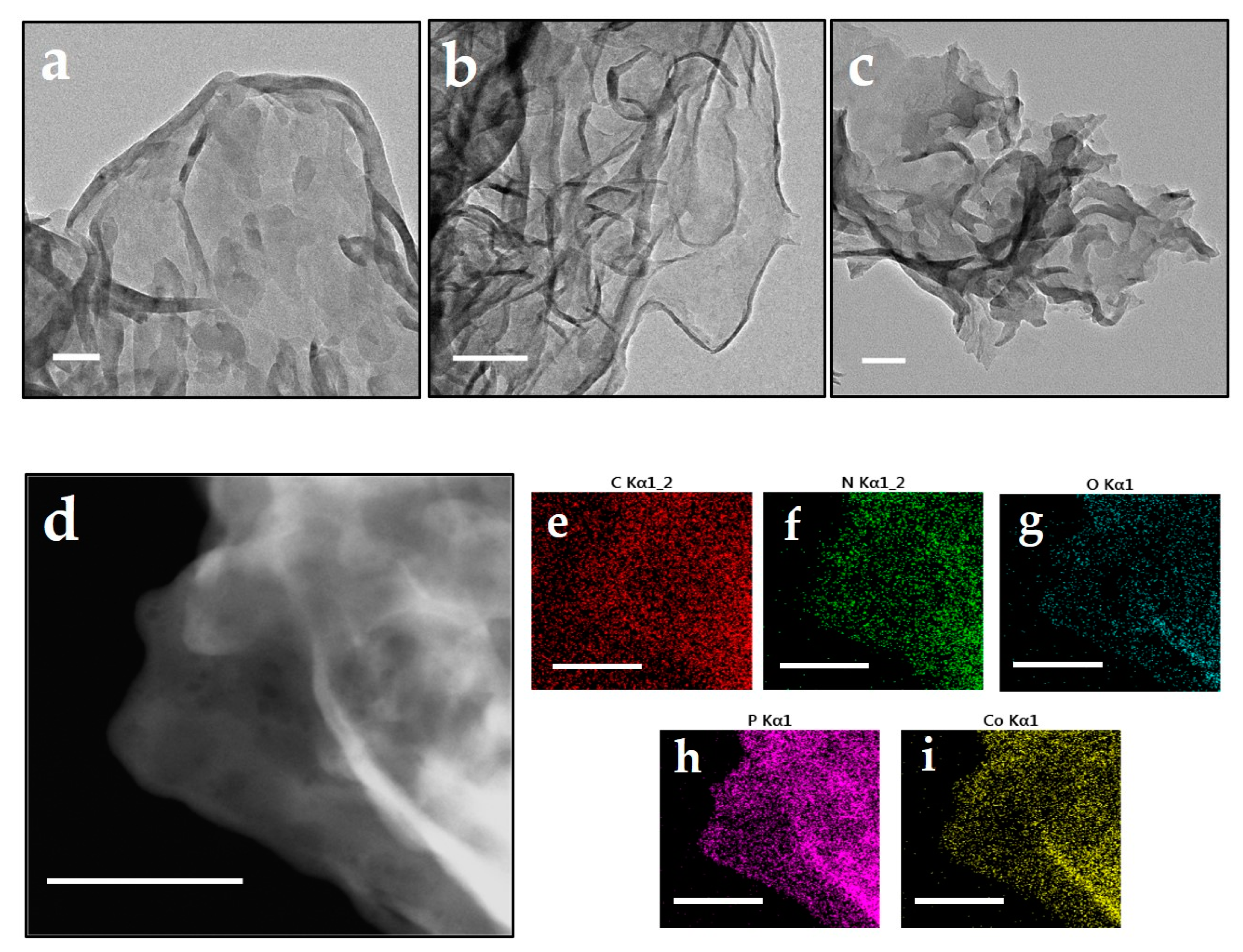 Molecules 26 00340 g002