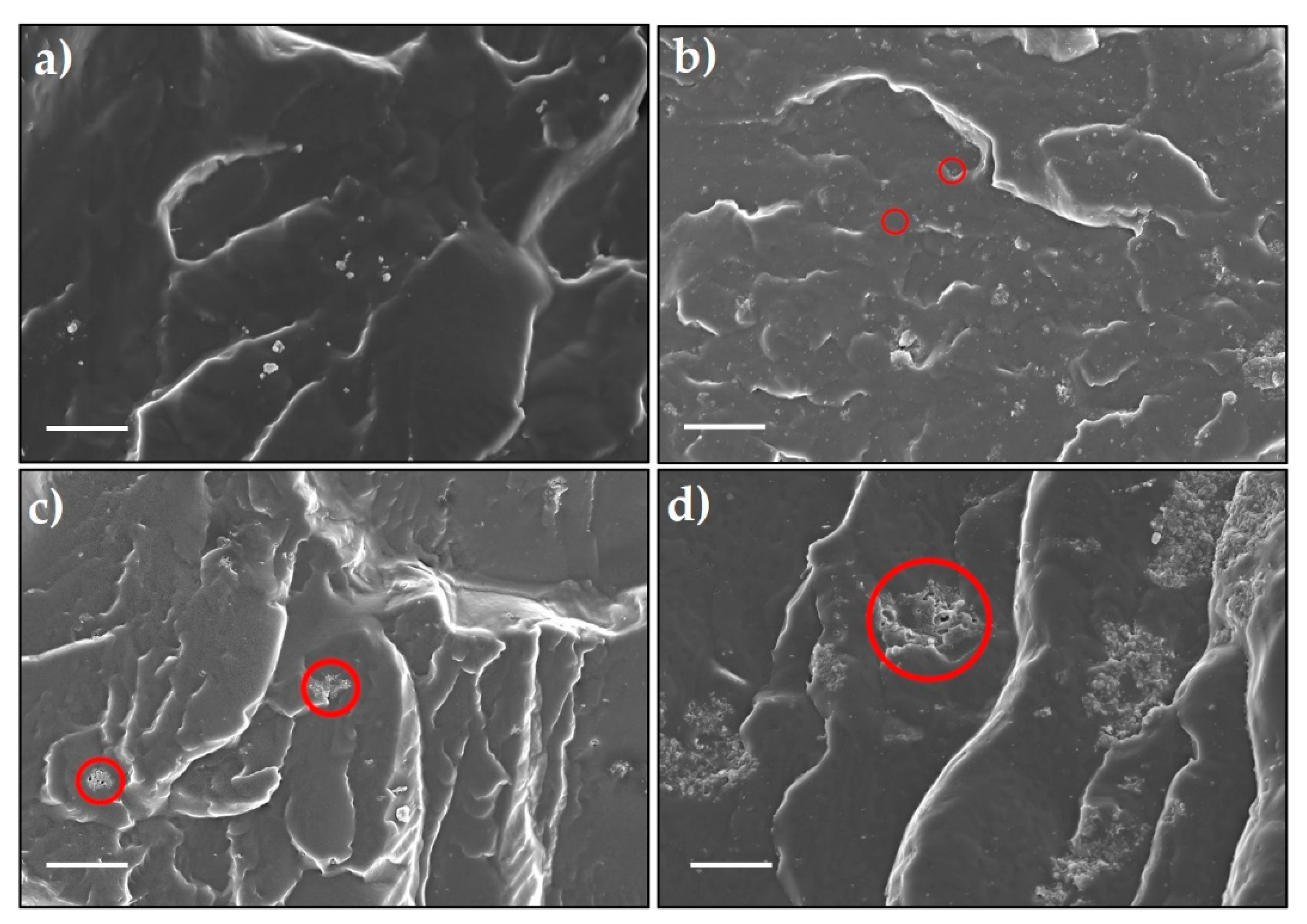 Molecules 26 00340 g005